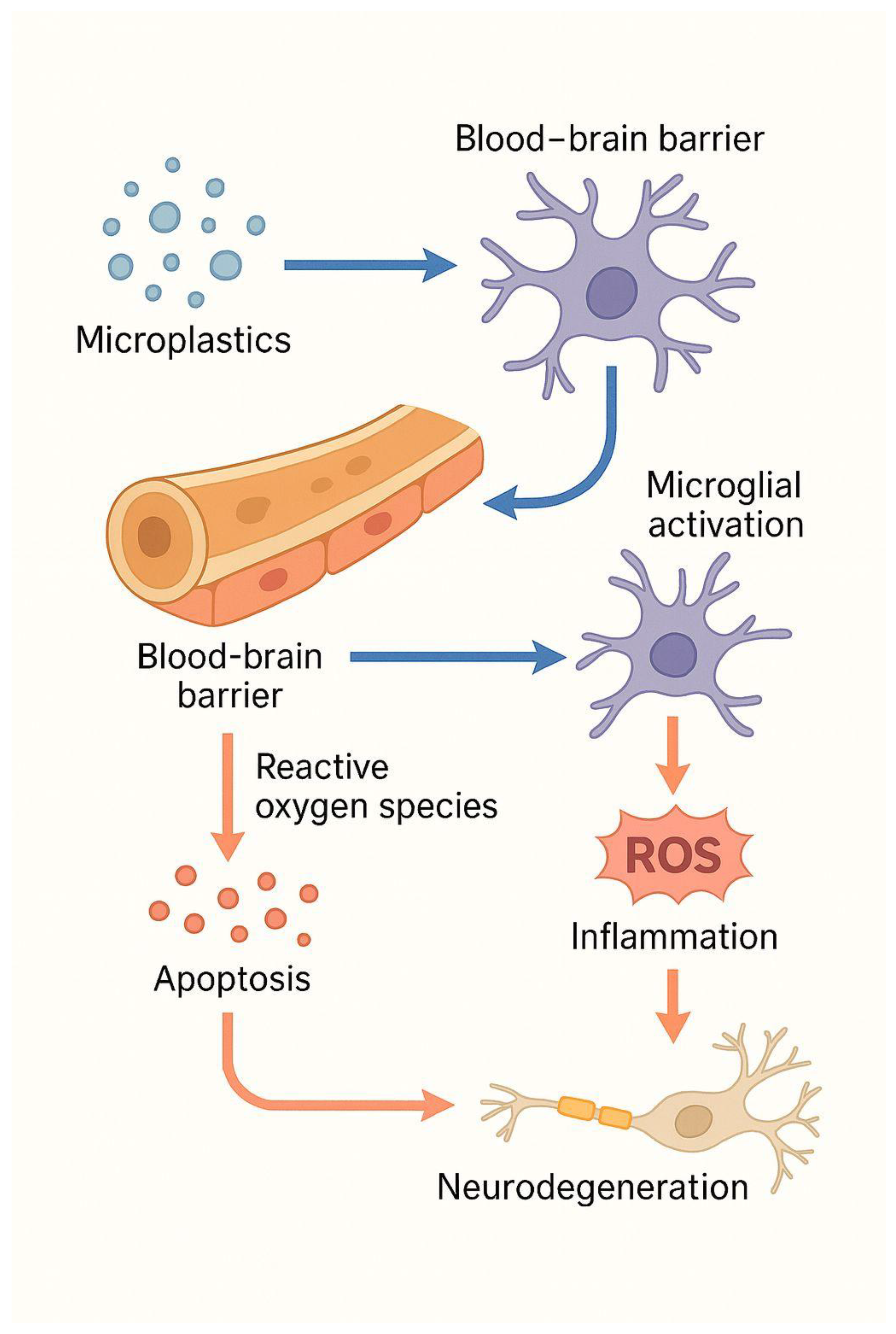 Preprints 182860 g001