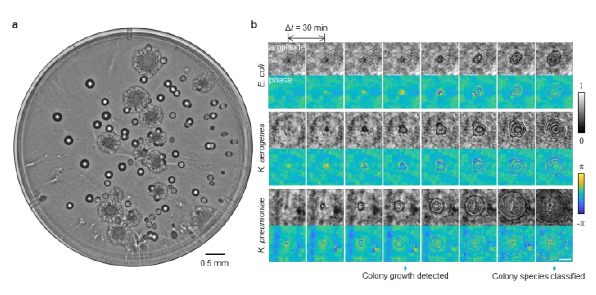 Preprints 178127 g003