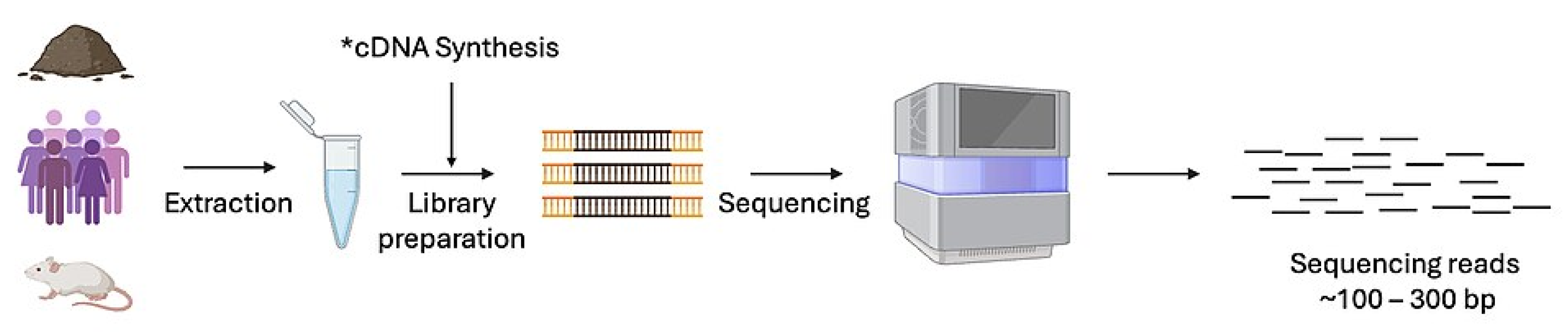 Preprints 178127 g004