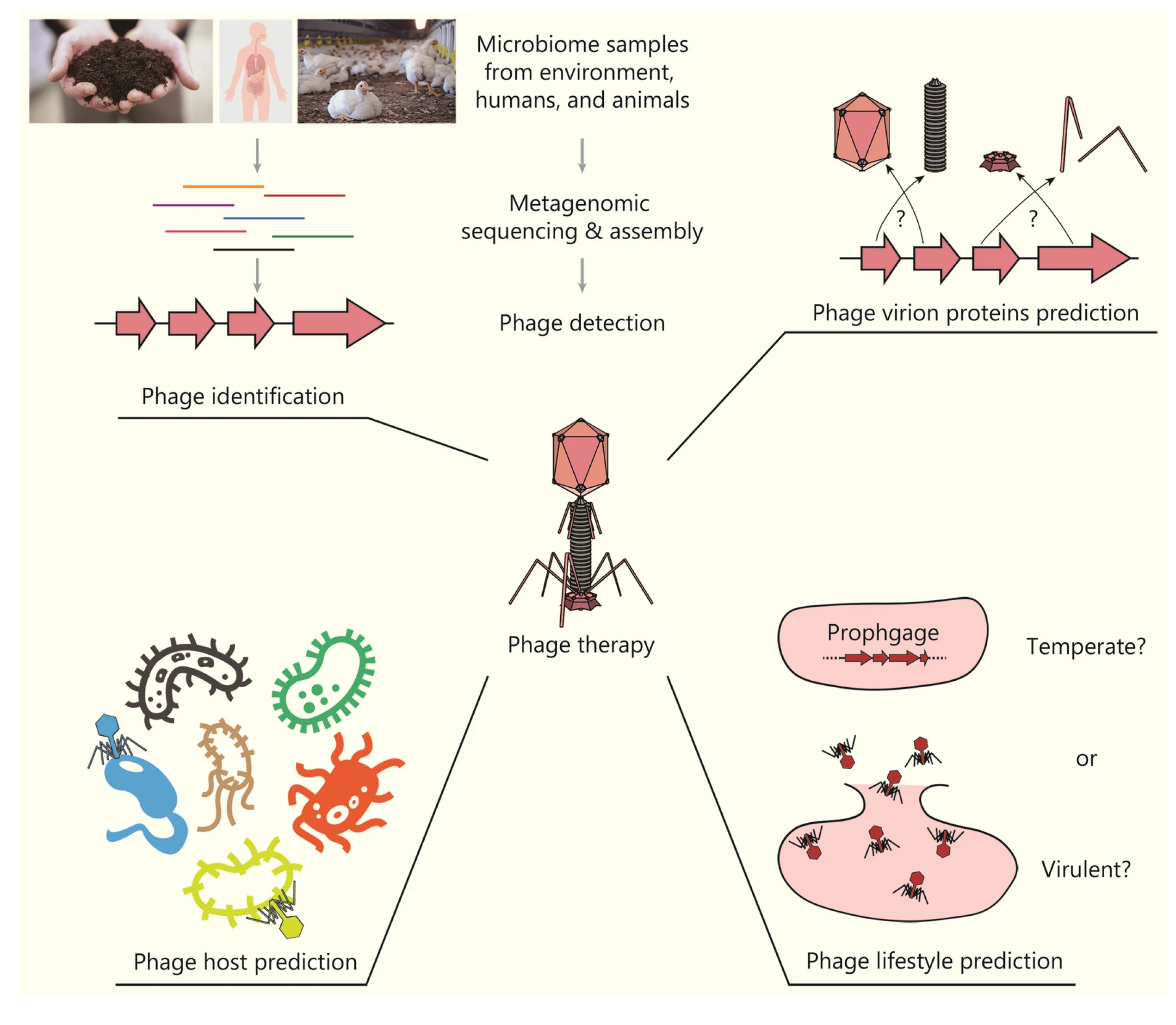 Preprints 178127 g010