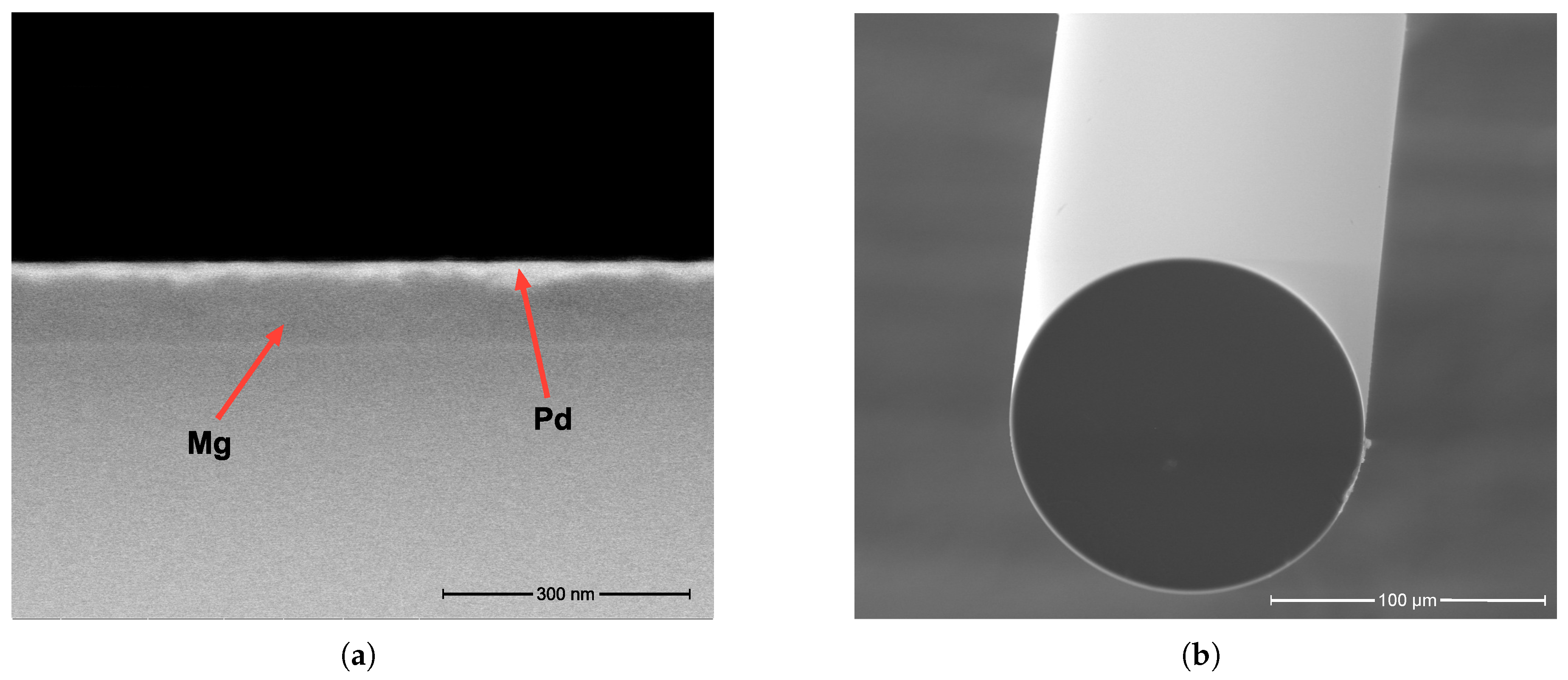 Preprints 205760 g004 Preprints 205760 g004