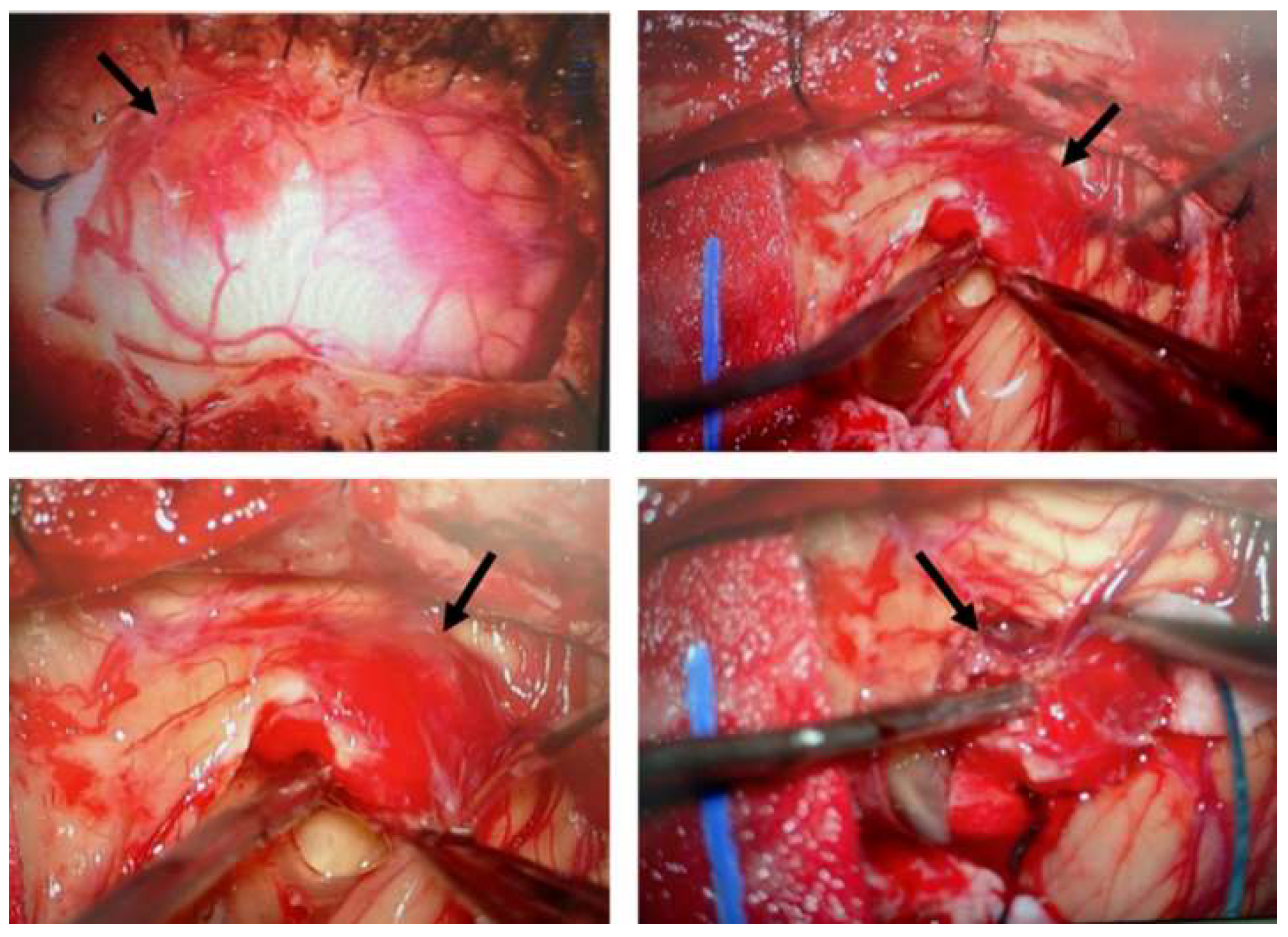 Preprints 153013 g001