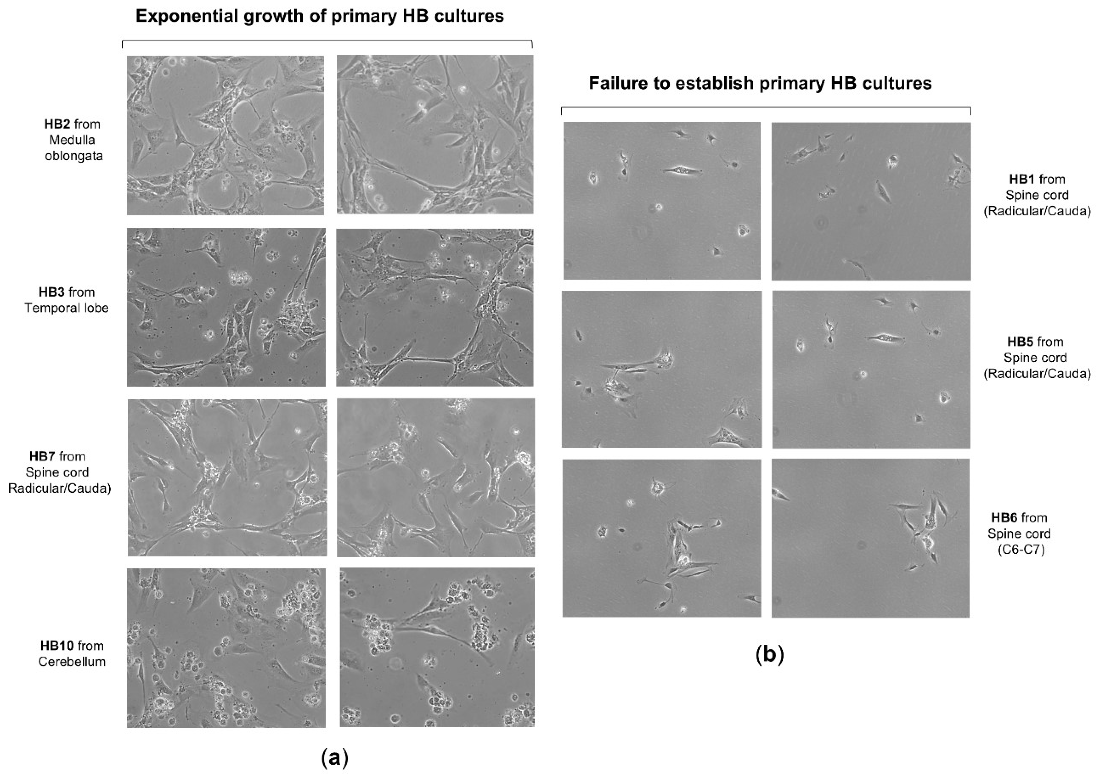 Preprints 153013 g002