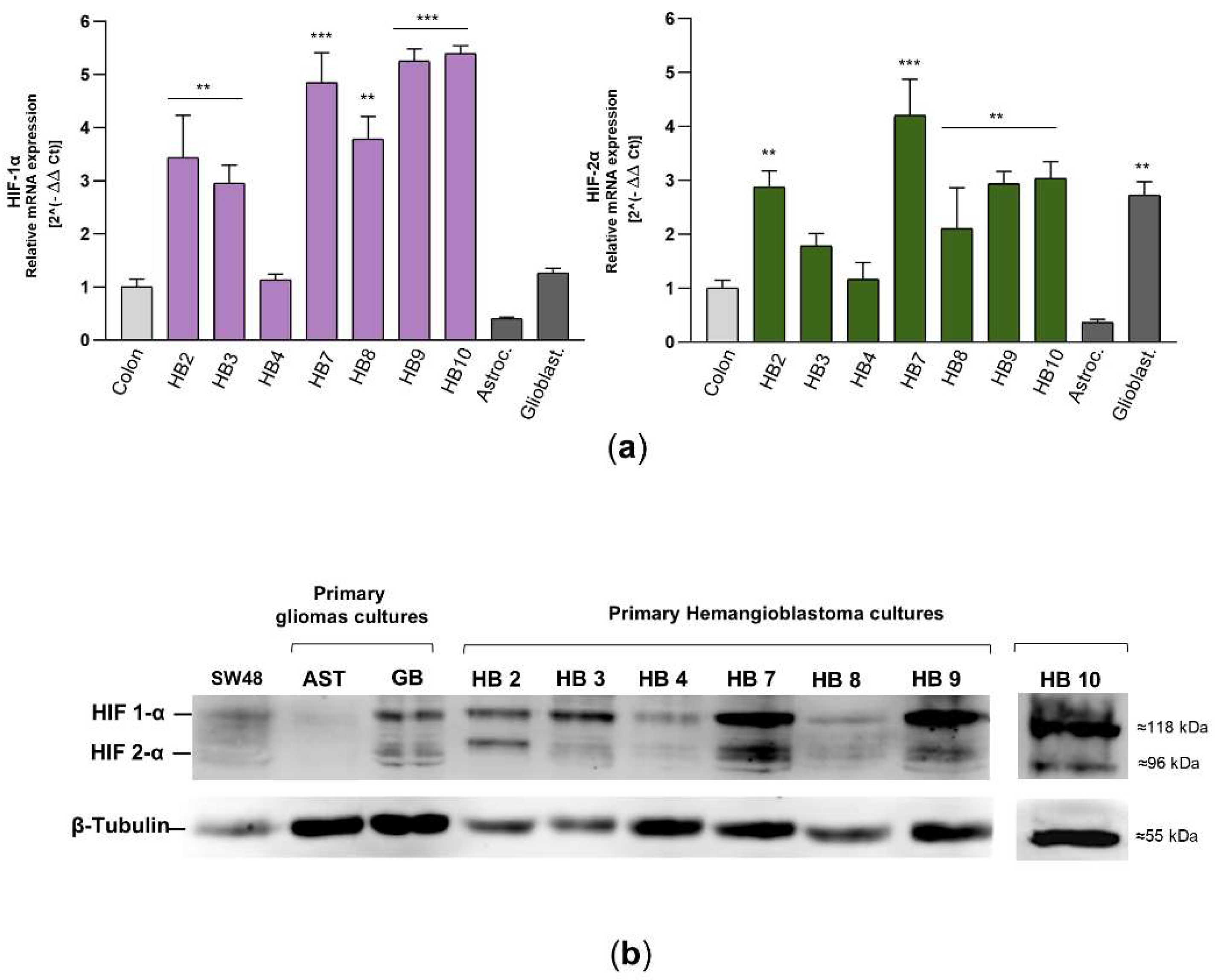 Preprints 153013 g004