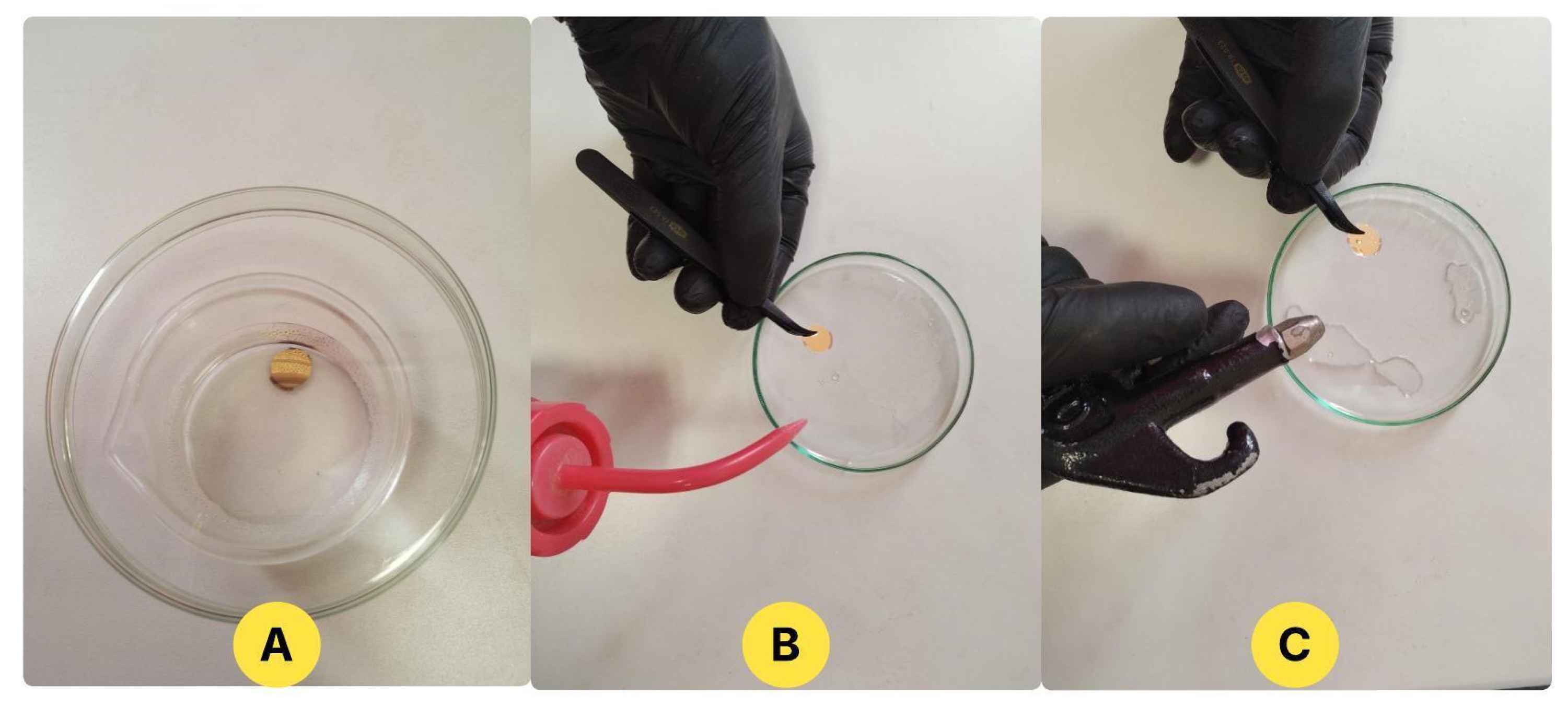 Preprints 178774 g007