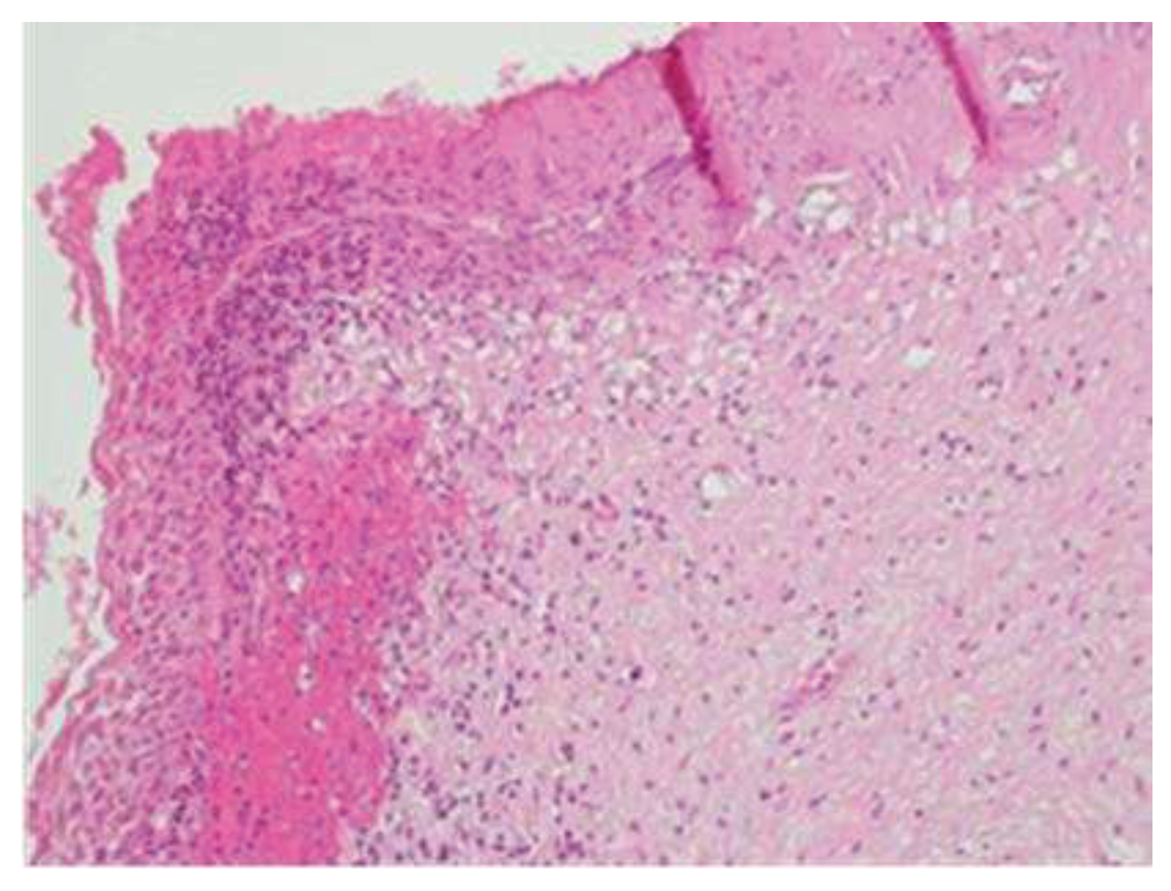 Preprints 79221 g002