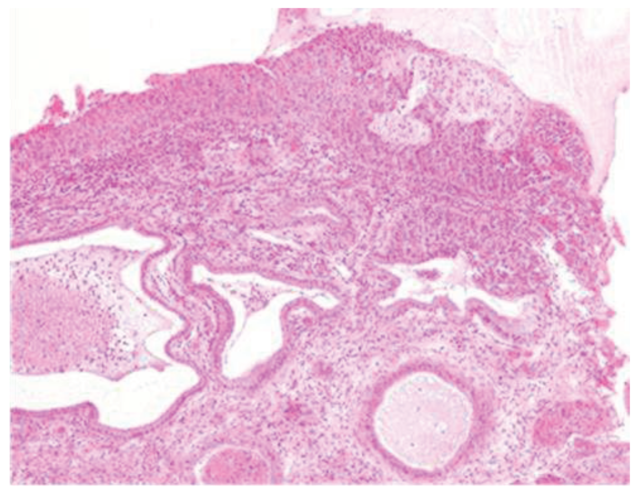 Preprints 79221 g003