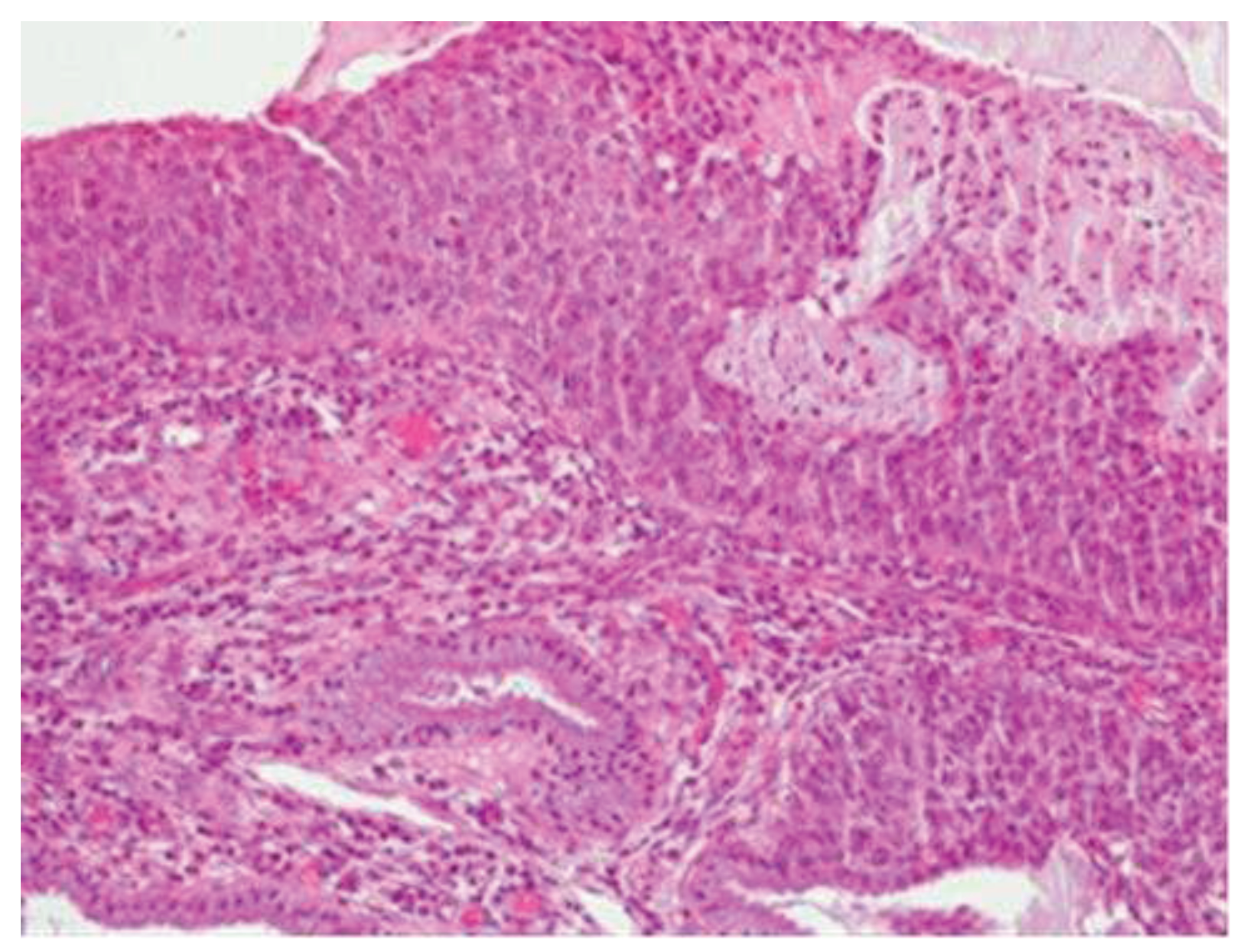 Preprints 79221 g004