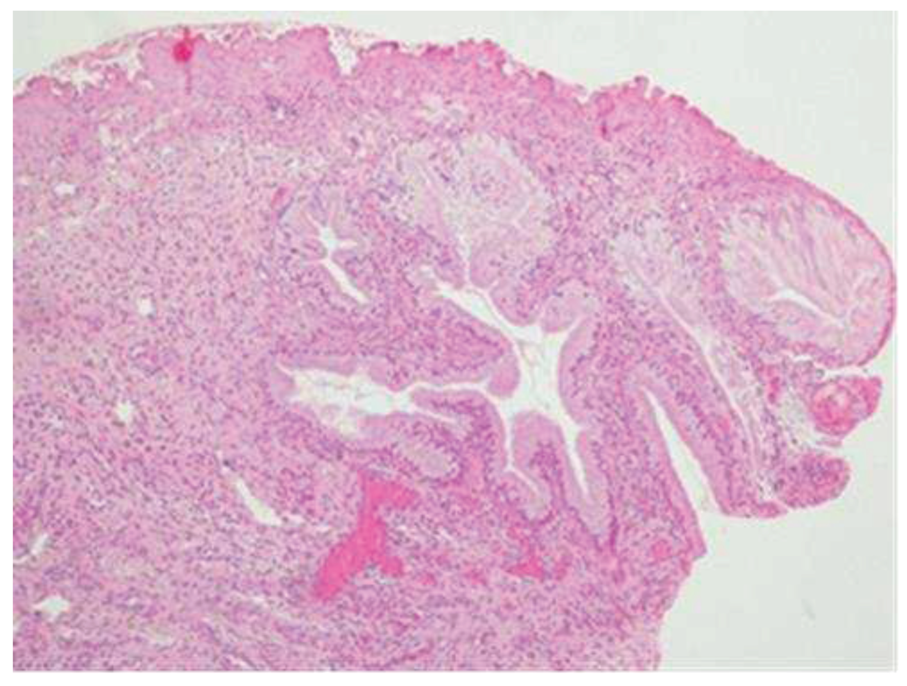 Preprints 79221 g005