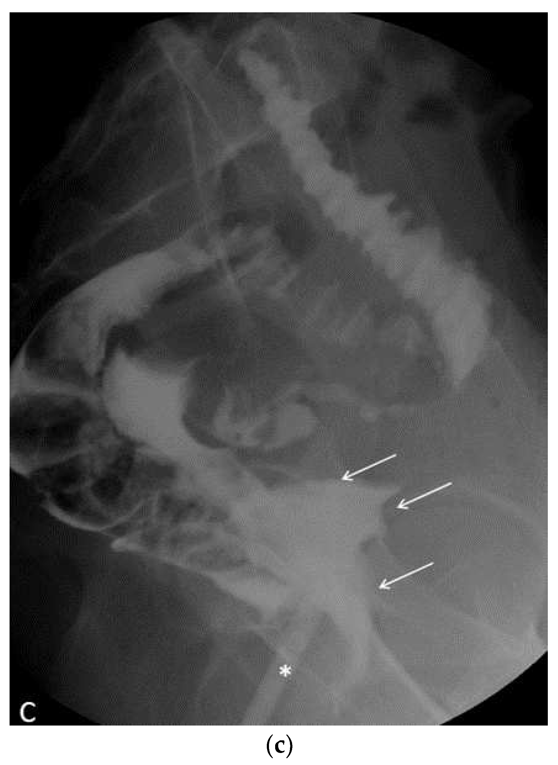 Preprints 79221 g006b