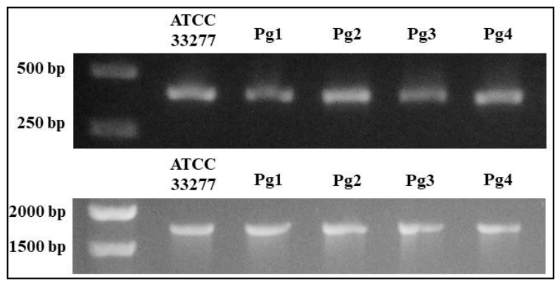 Preprints 227897 g001 Preprints 227897 g001