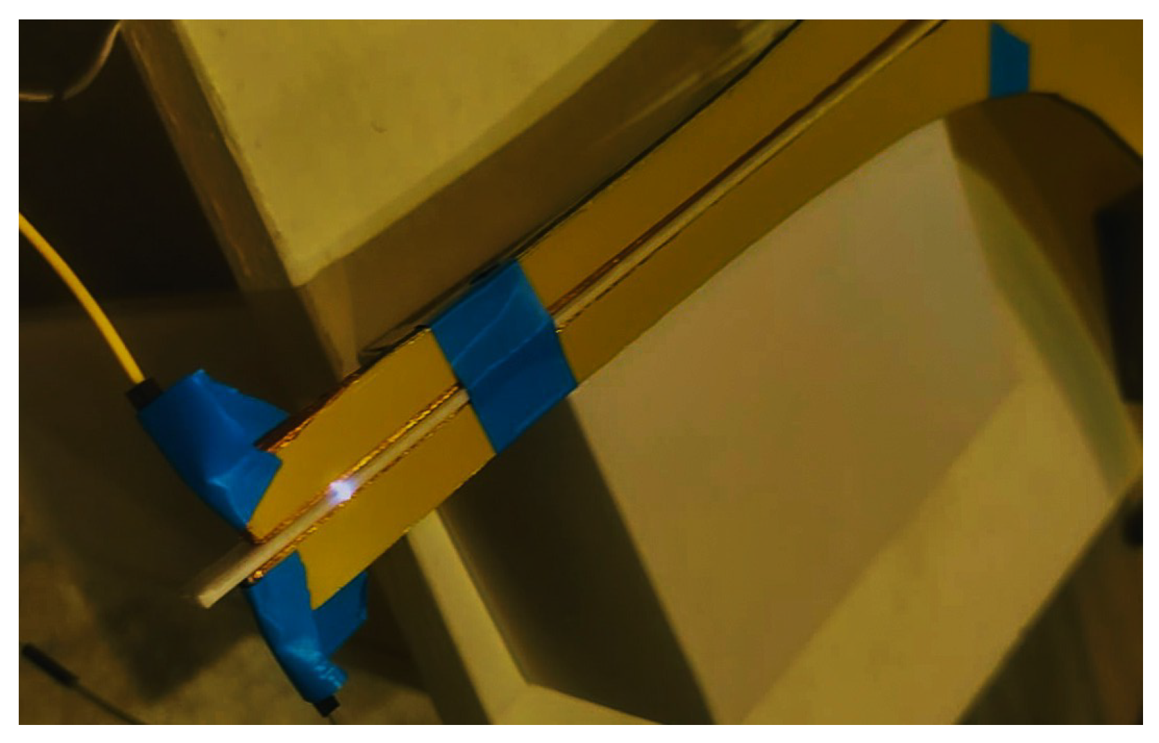 Preprints 196721 g006