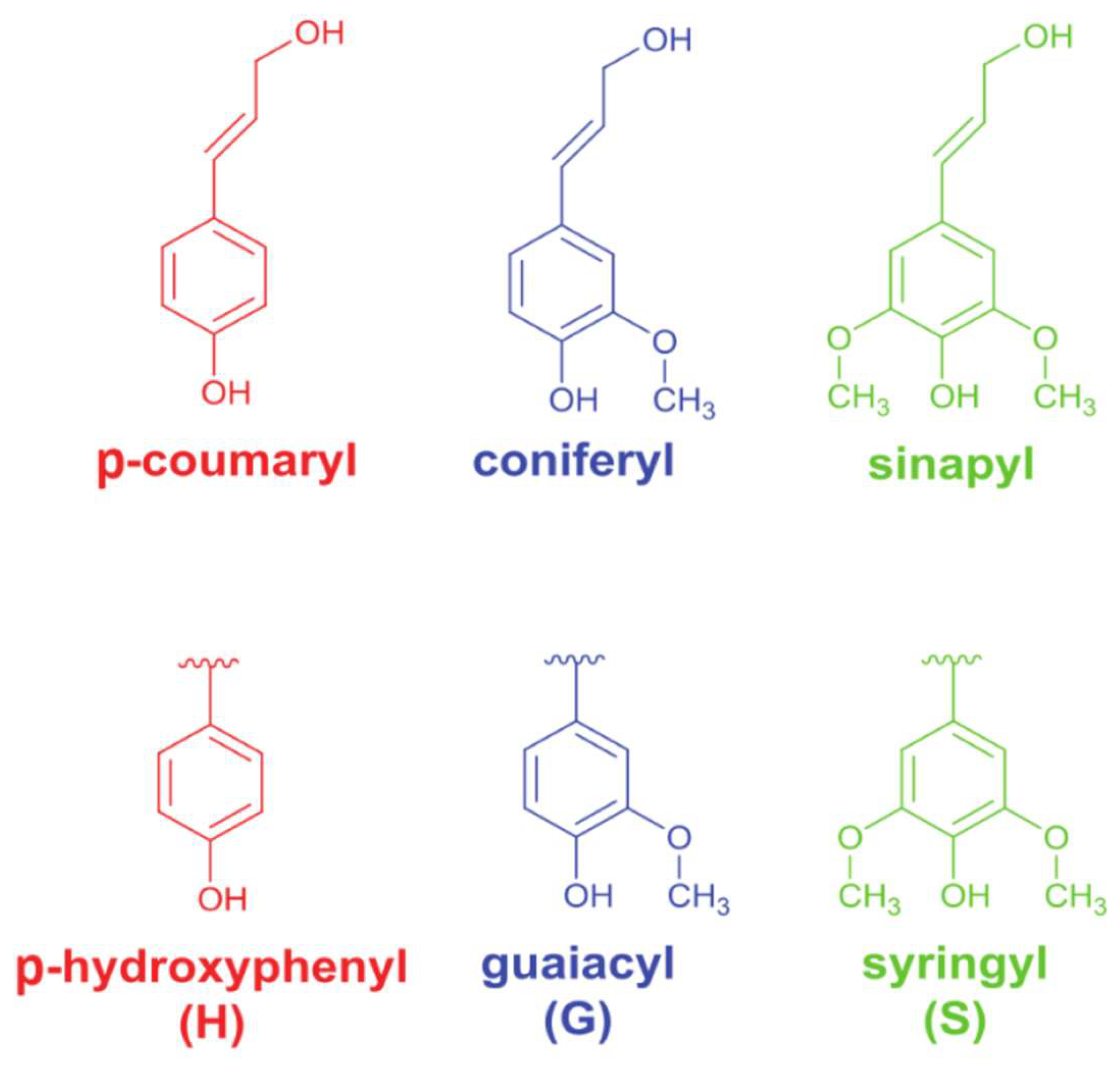 Preprints 206196 g001