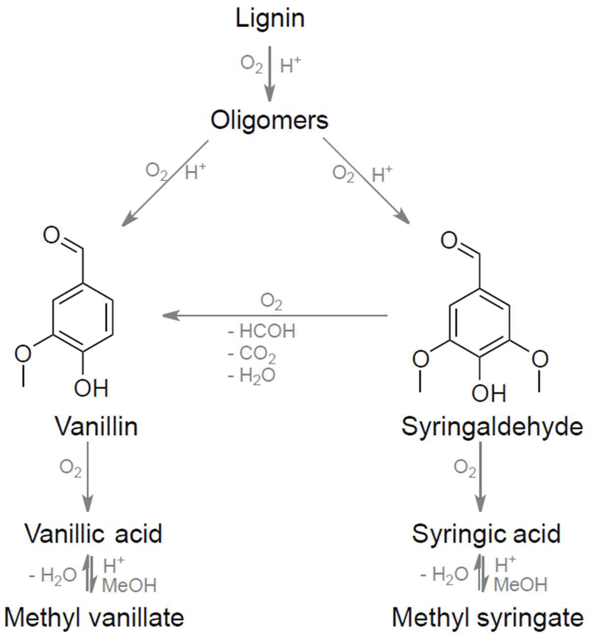 Preprints 206196 sch001