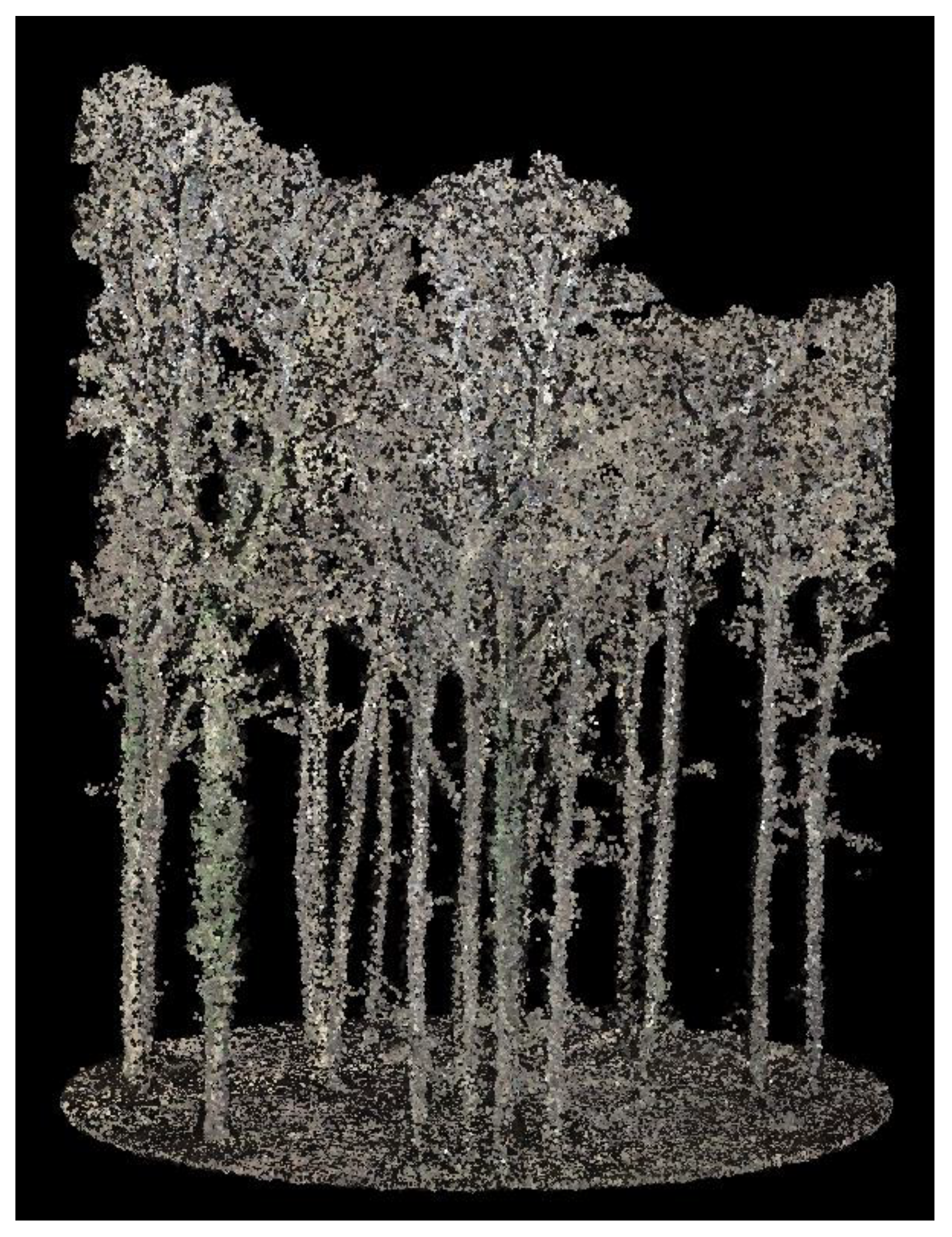 Preprints 146273 g006