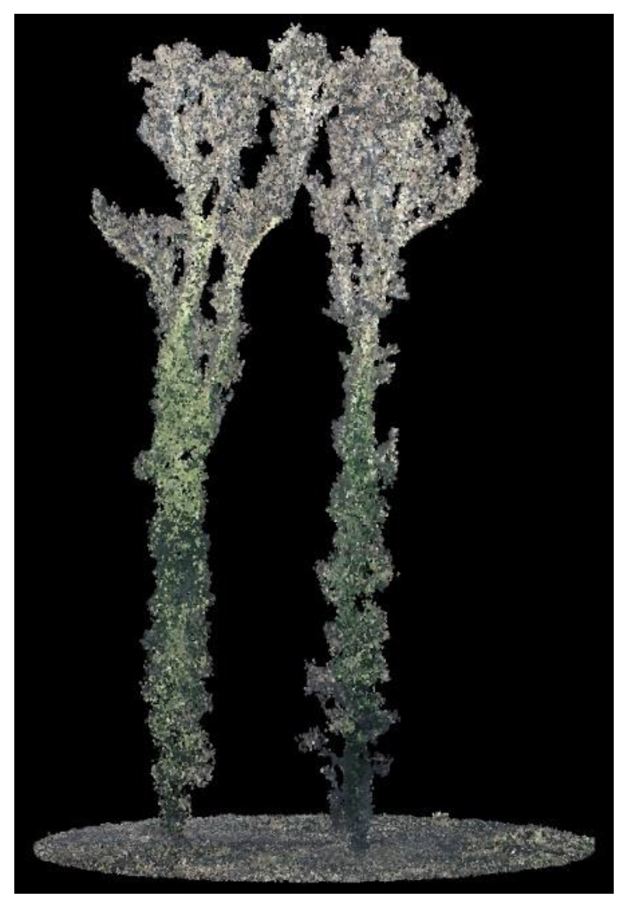 Preprints 146273 g020