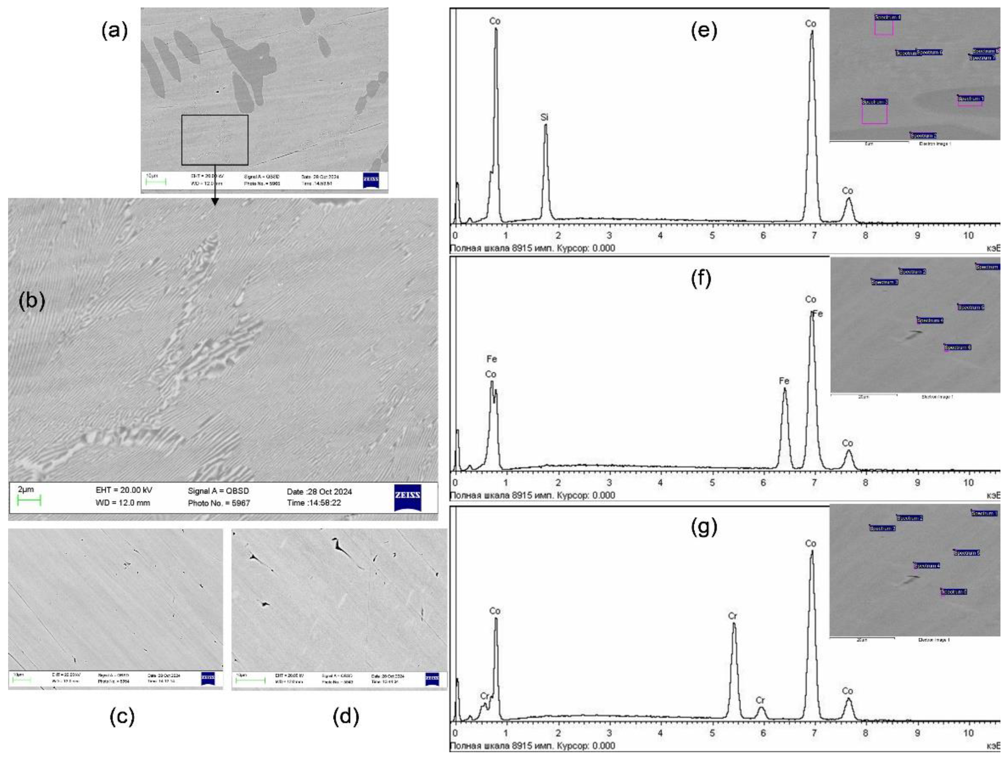 Preprints 147446 g001