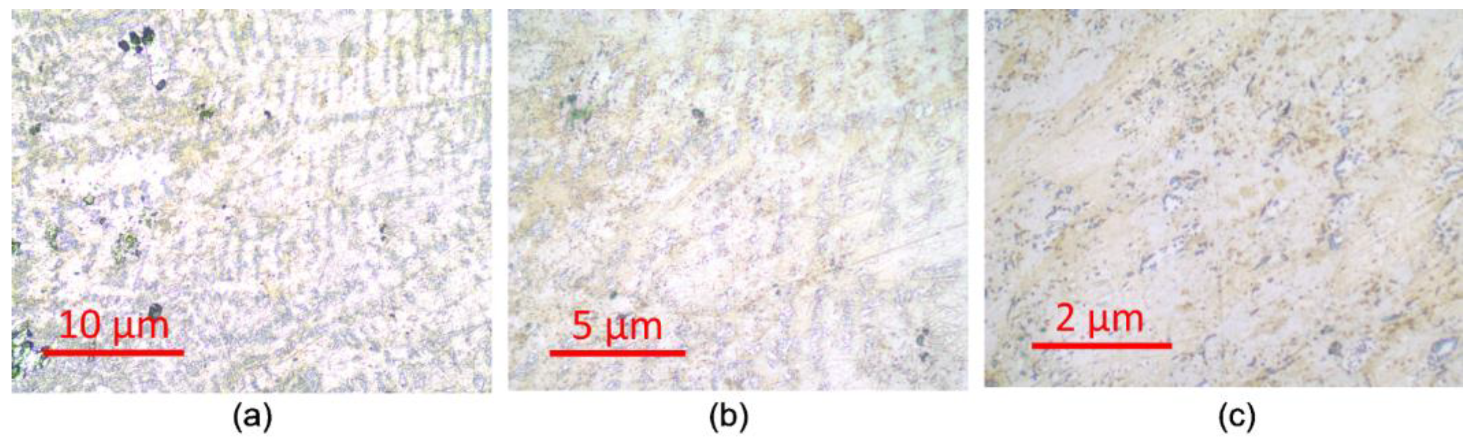 Preprints 147446 g003