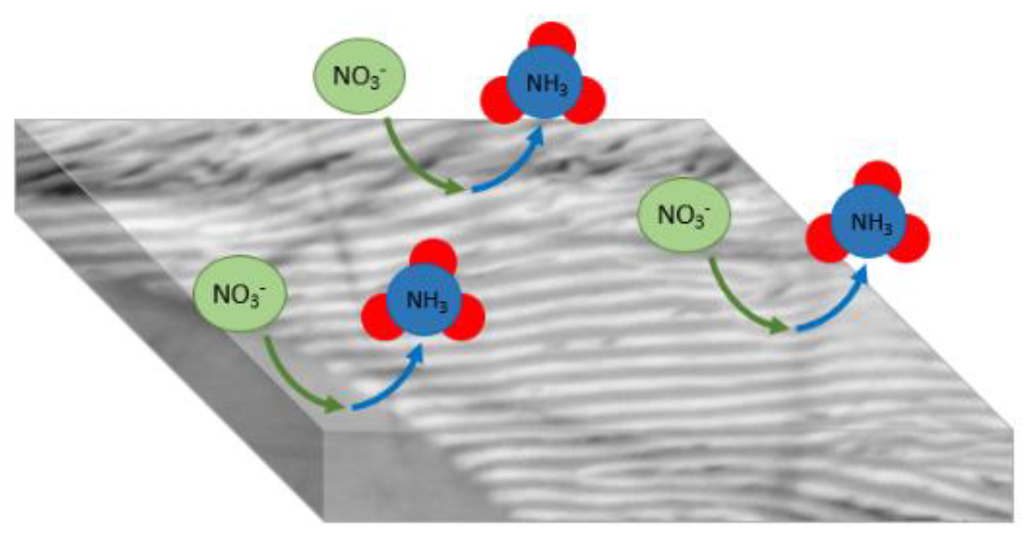 Preprints 147446 g008