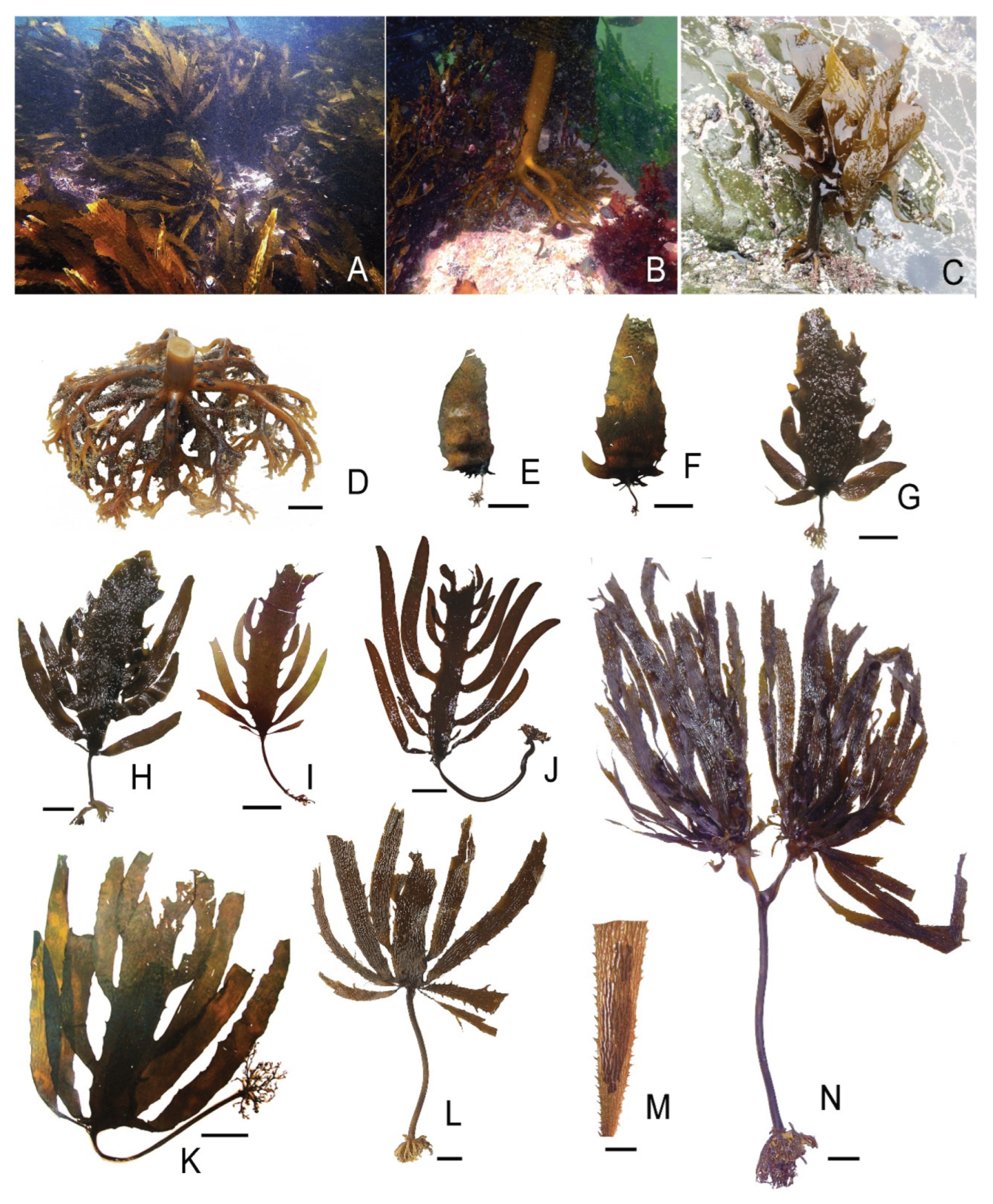 Preprints 187914 g002