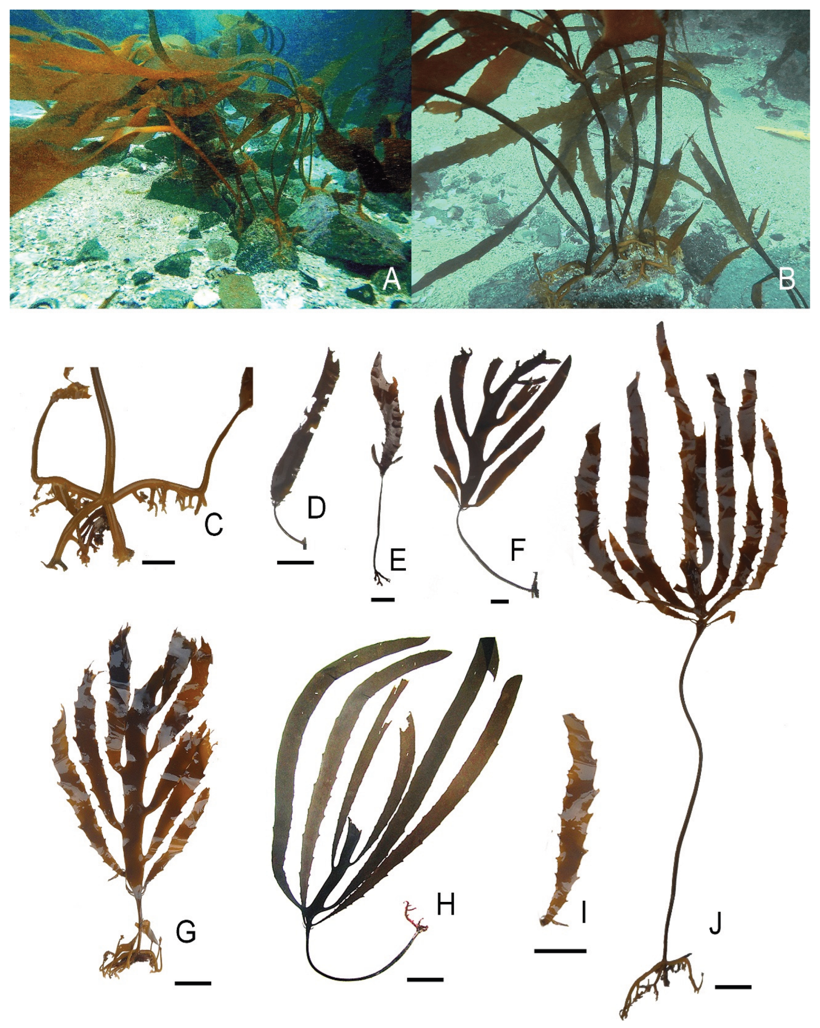 Preprints 187914 g003