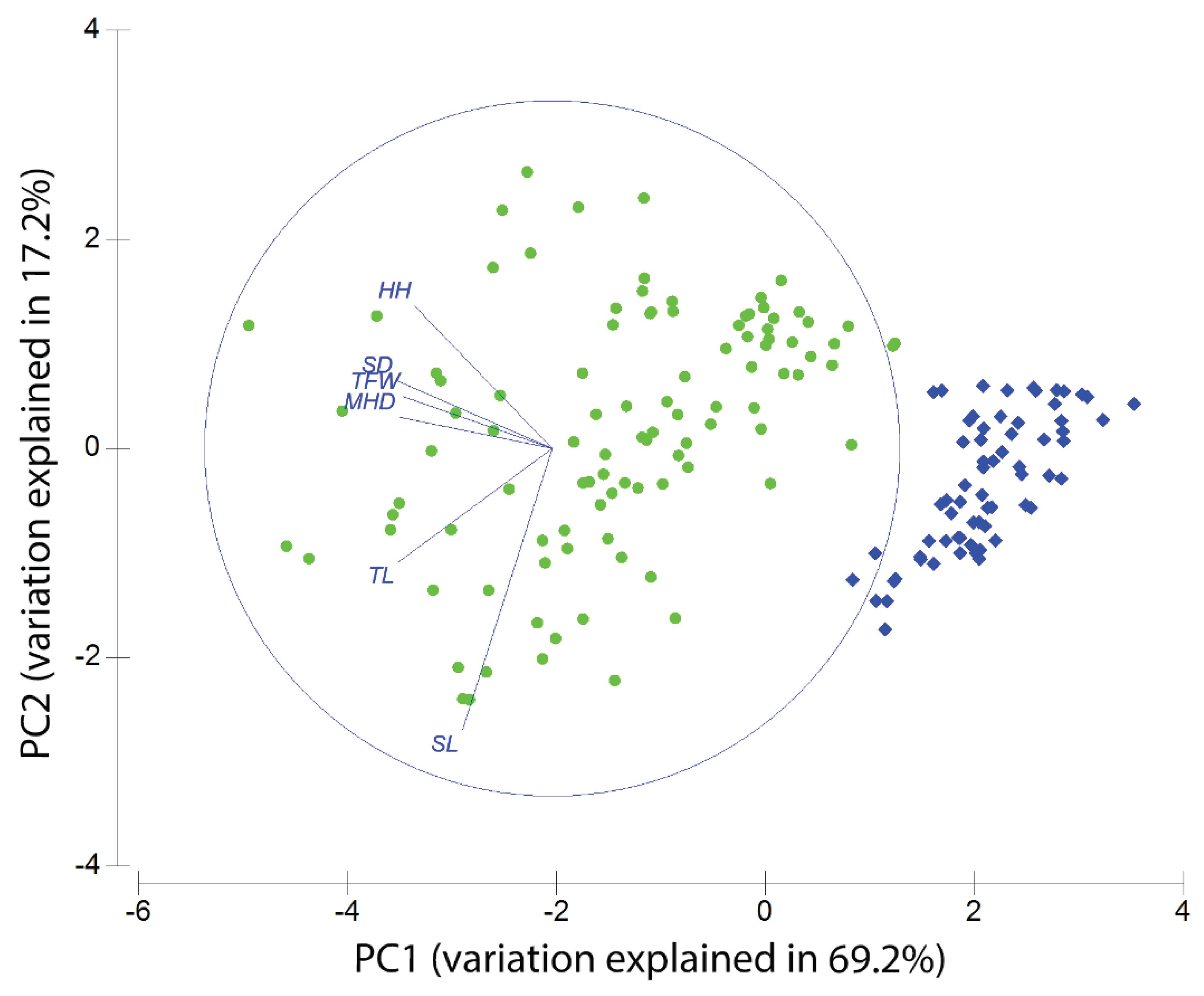 Preprints 187914 g004