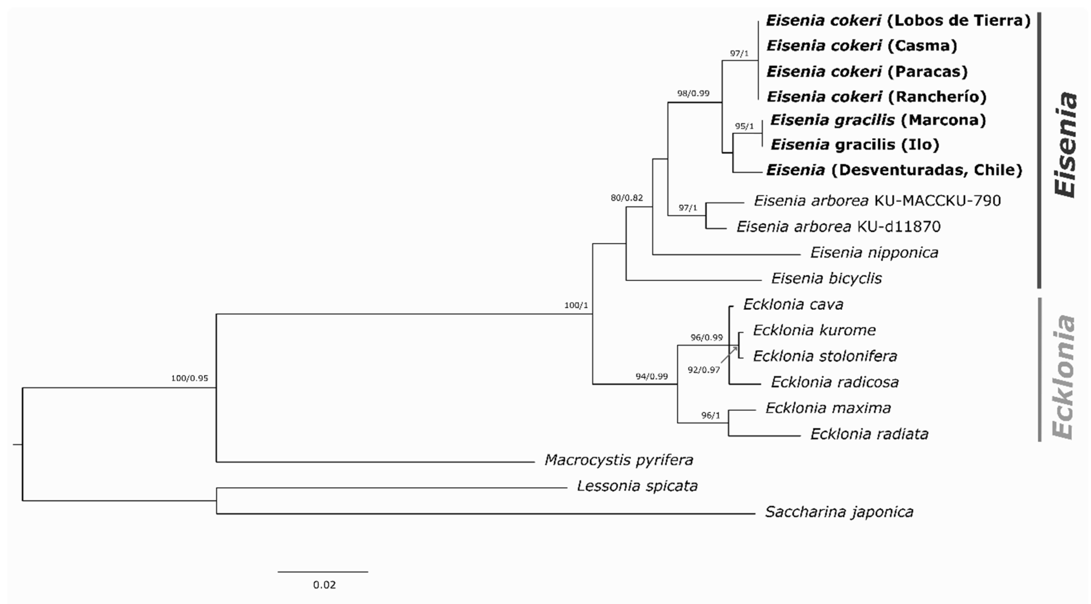 Preprints 187914 g005