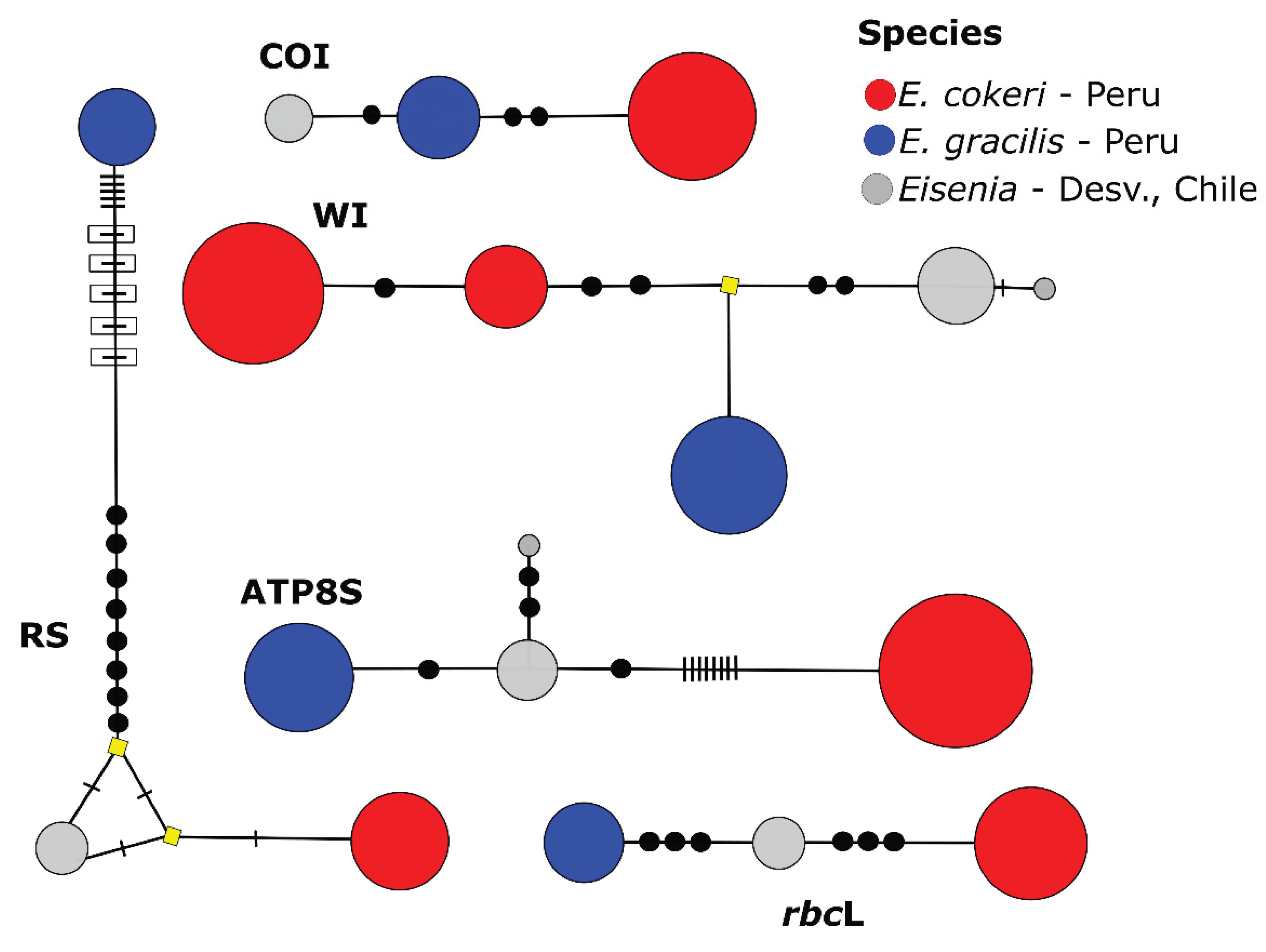 Preprints 187914 g006