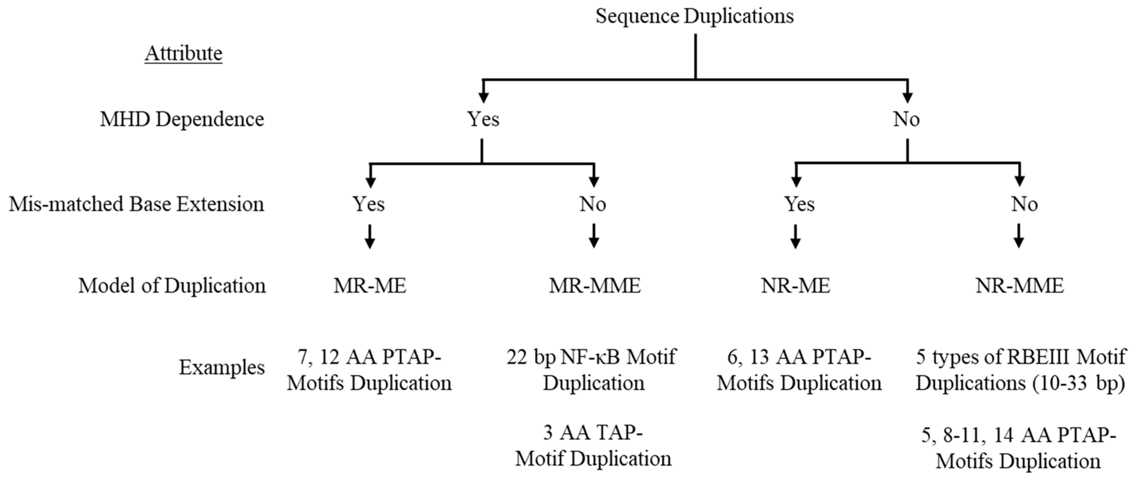 Preprints 153386 g001
