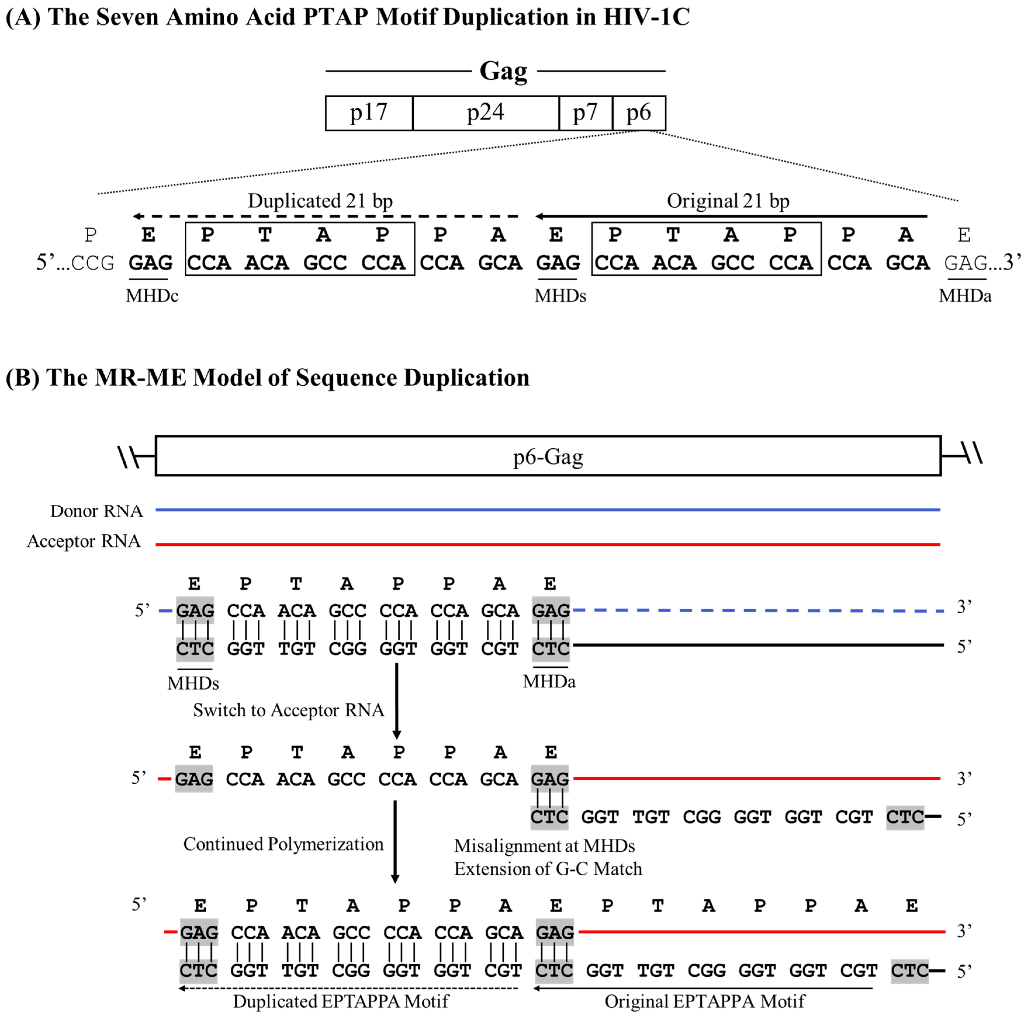 Preprints 153386 g002