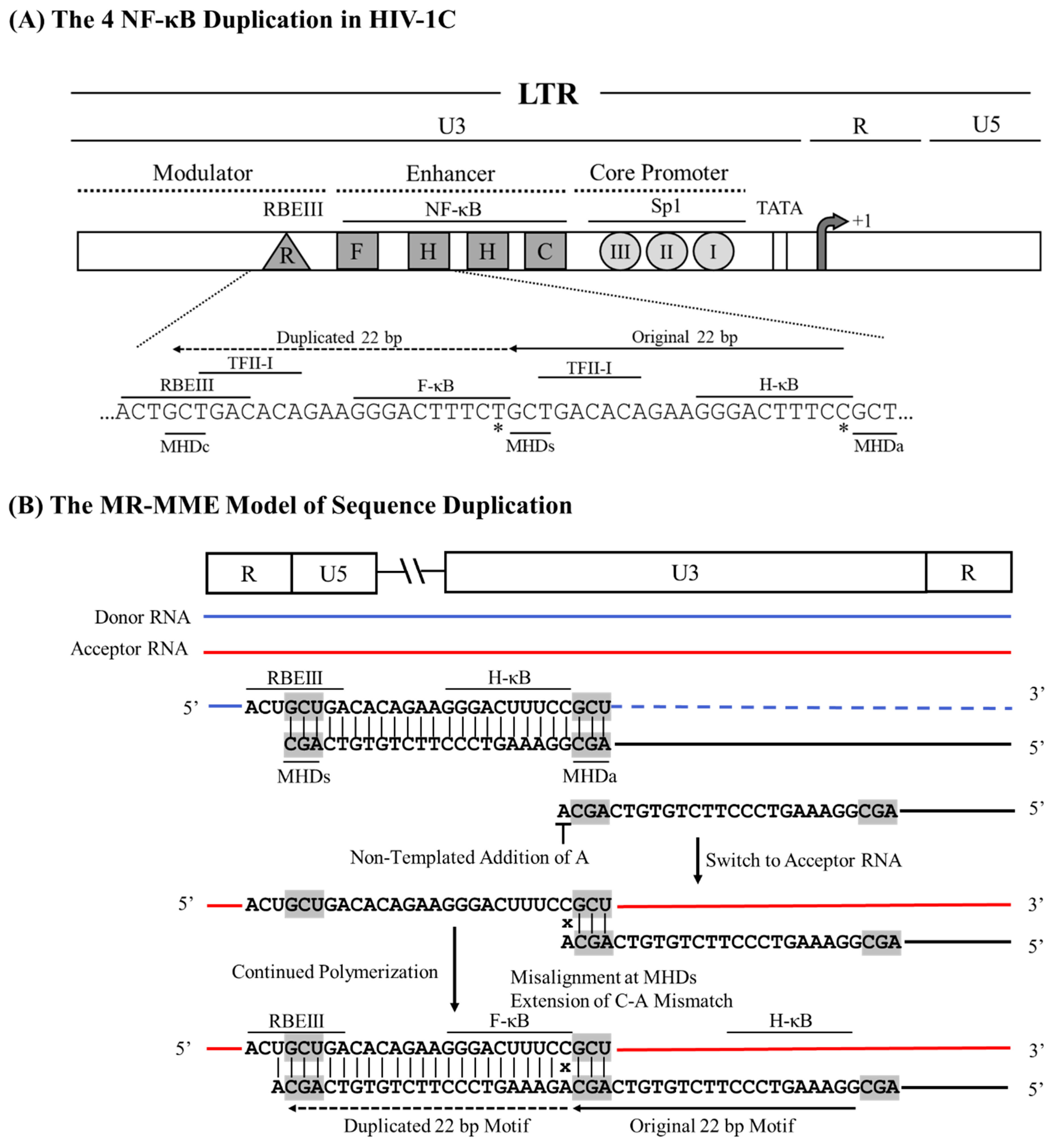 Preprints 153386 g003