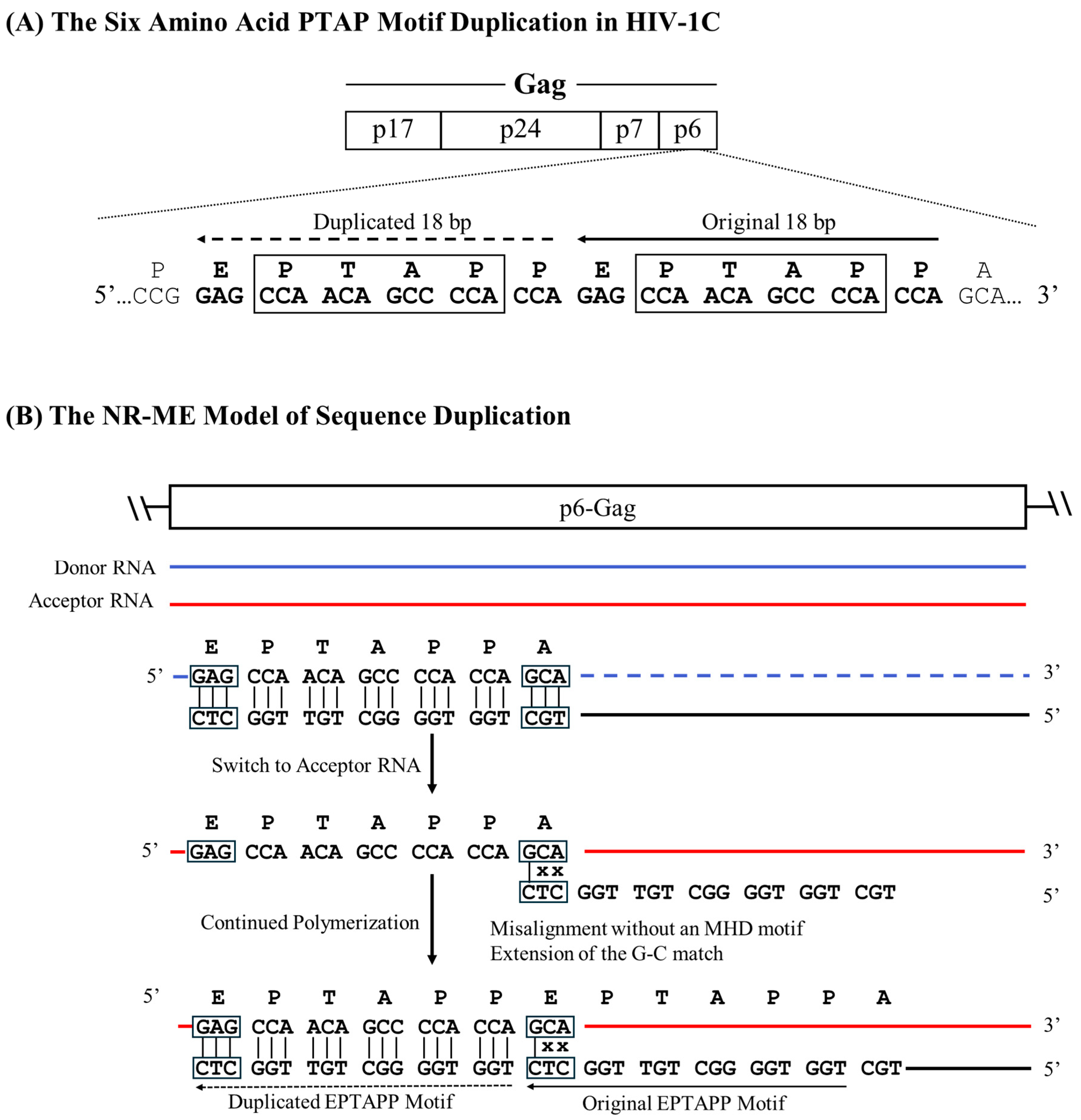 Preprints 153386 g004