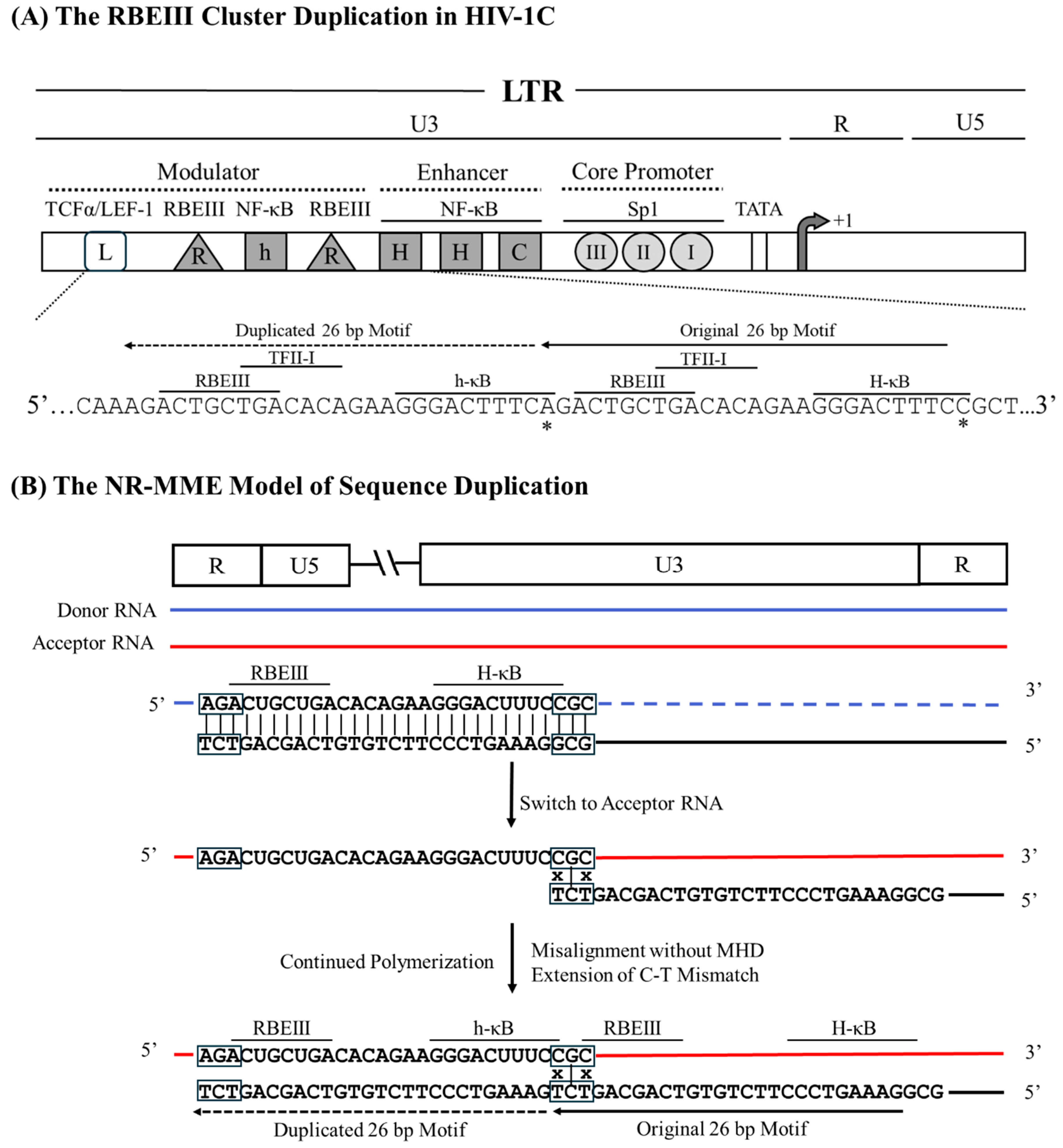 Preprints 153386 g005