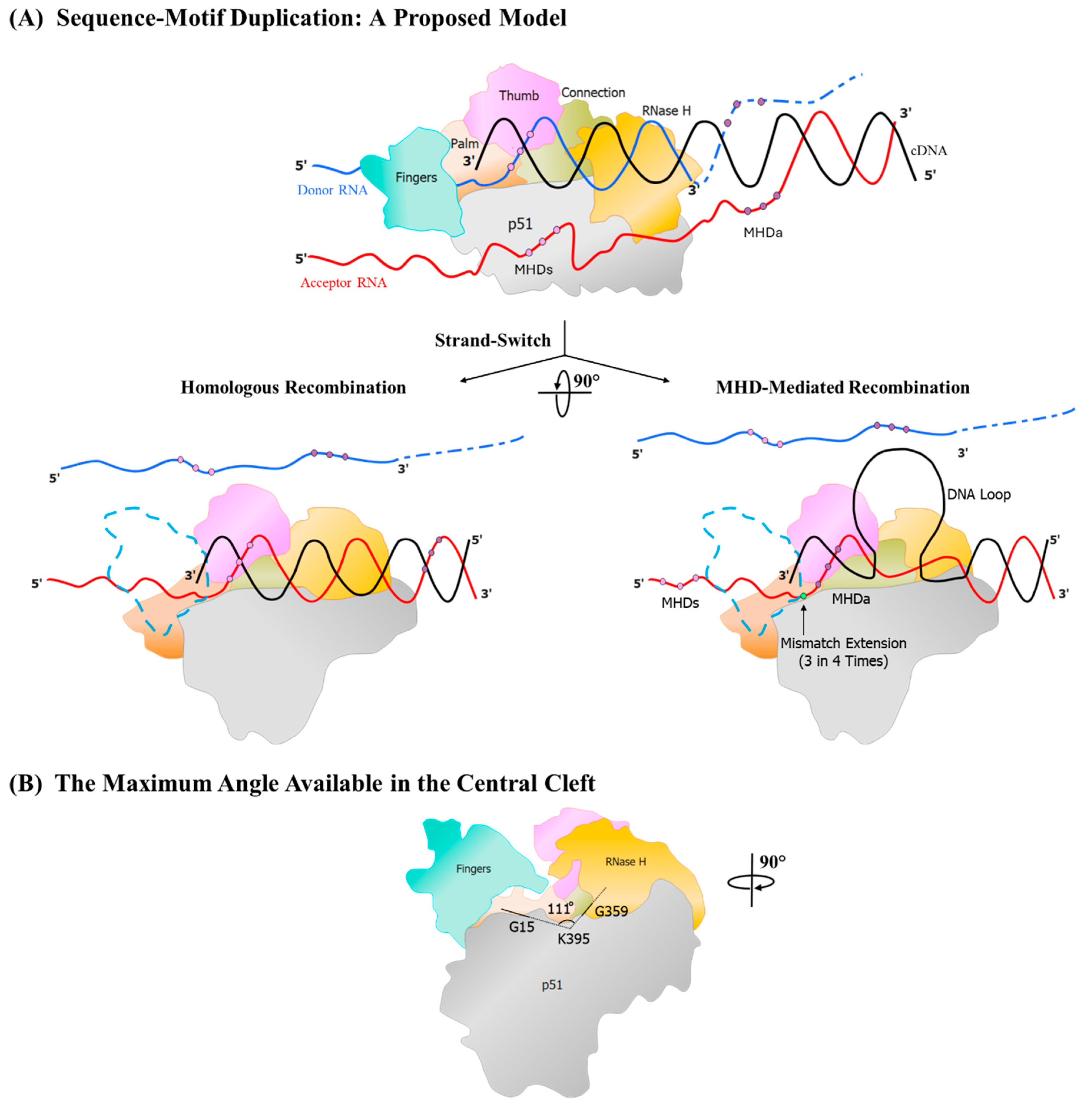 Preprints 153386 g006