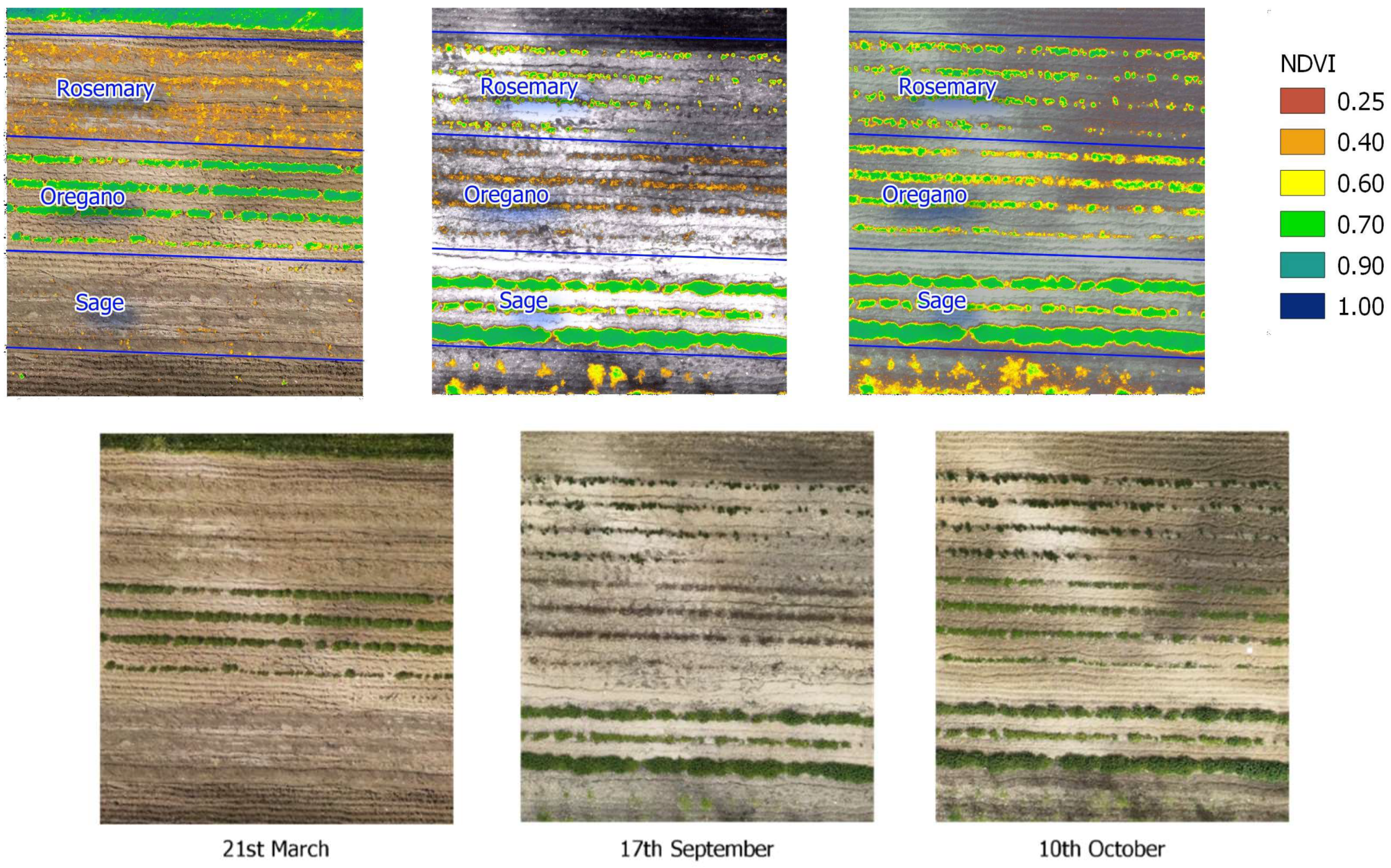 Preprints 155262 g001