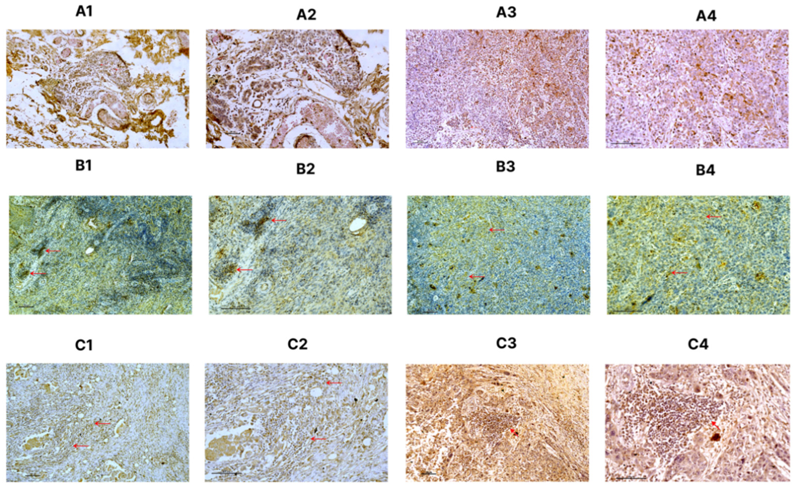 Preprints 191442 g002