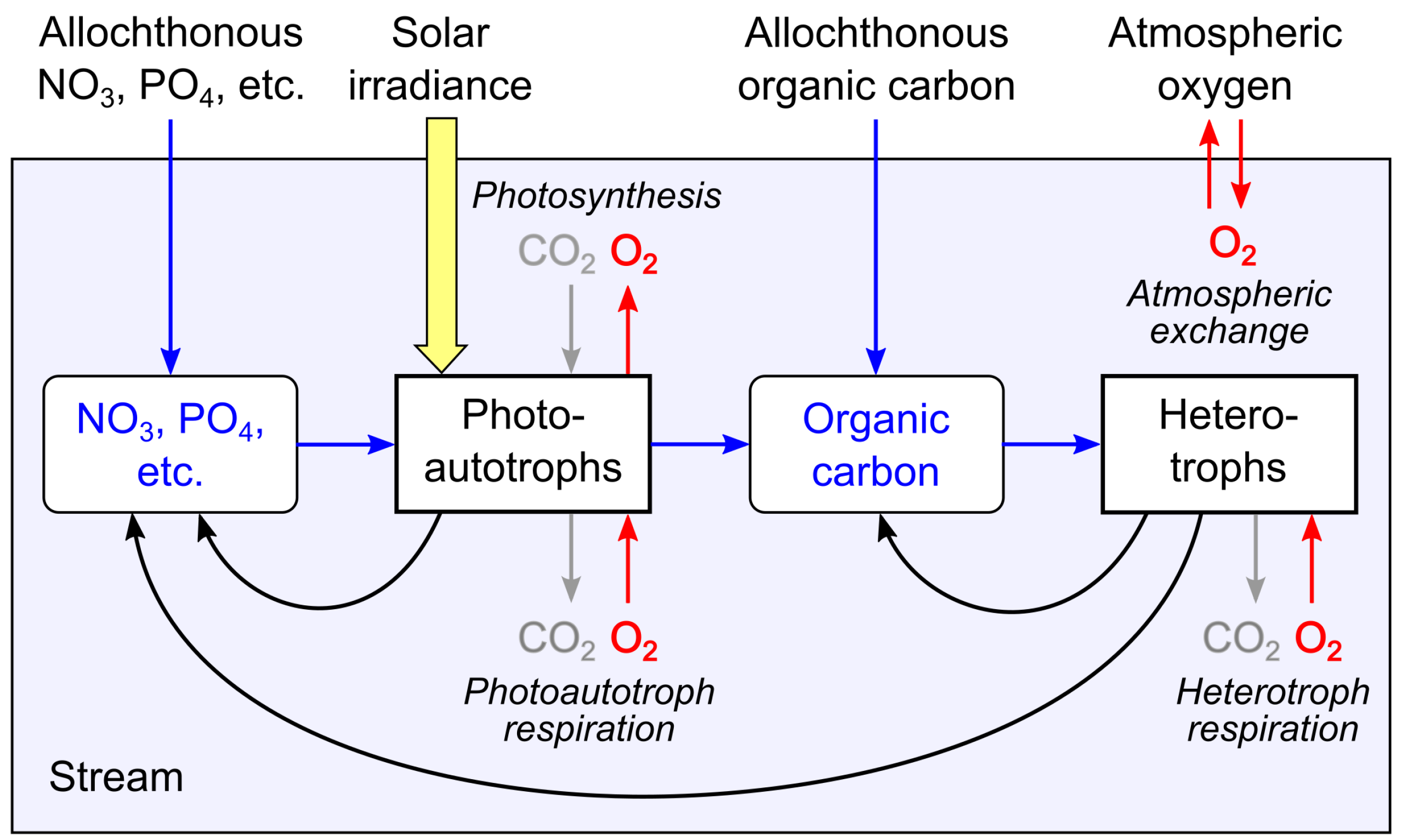 Preprints 152600 g002