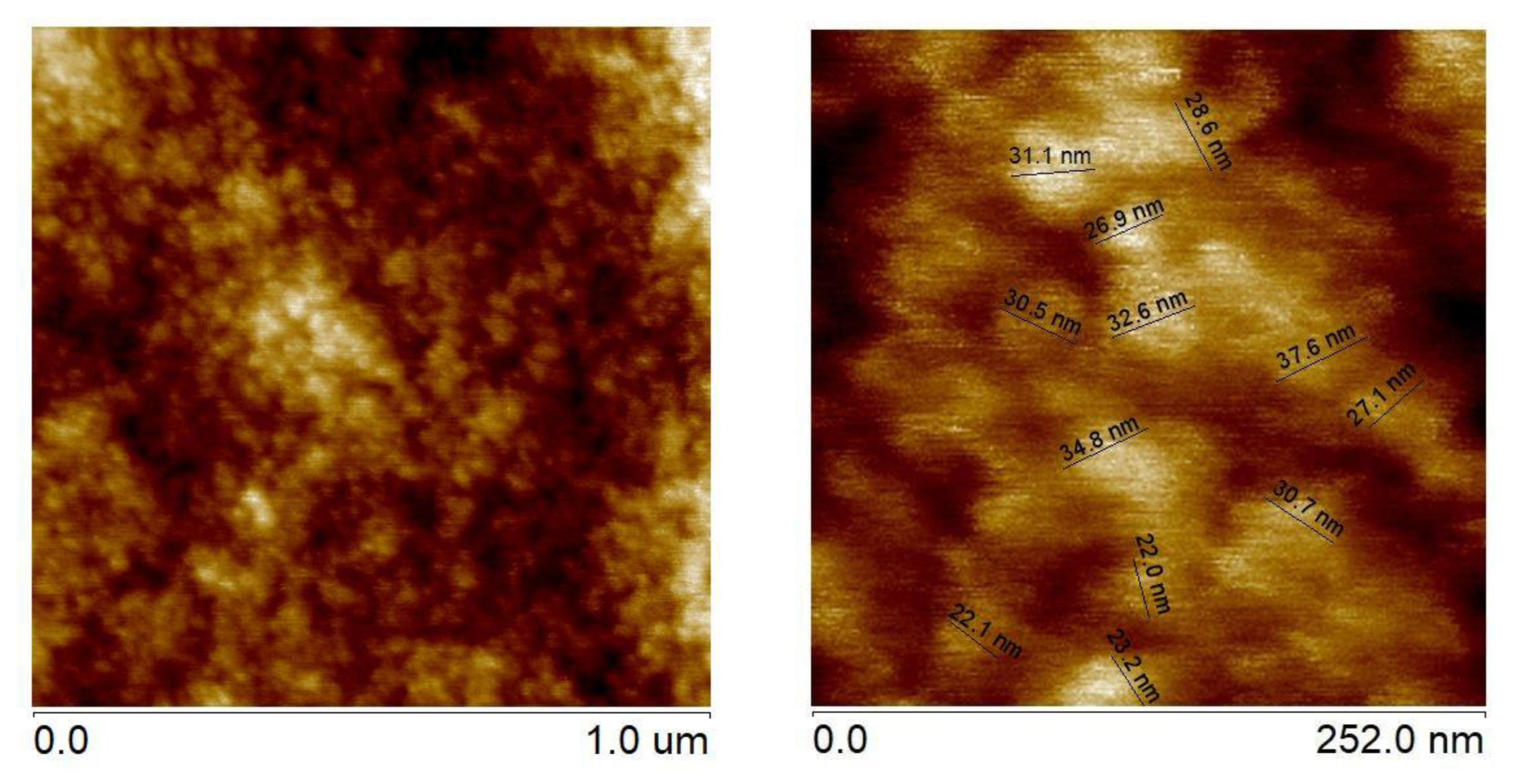 Preprints 77685 g006