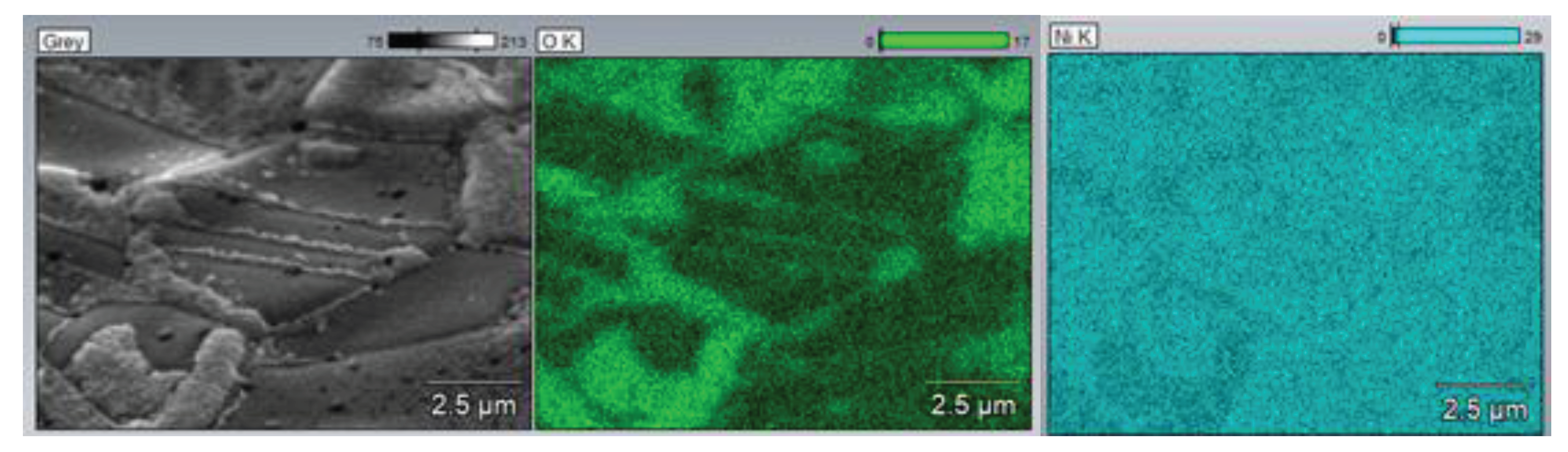 Preprints 77685 g009