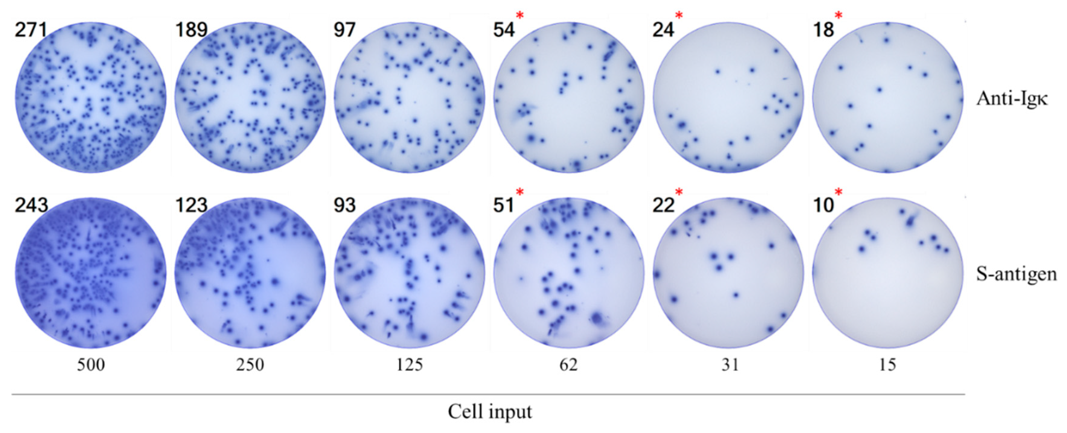 Preprints 190096 g001