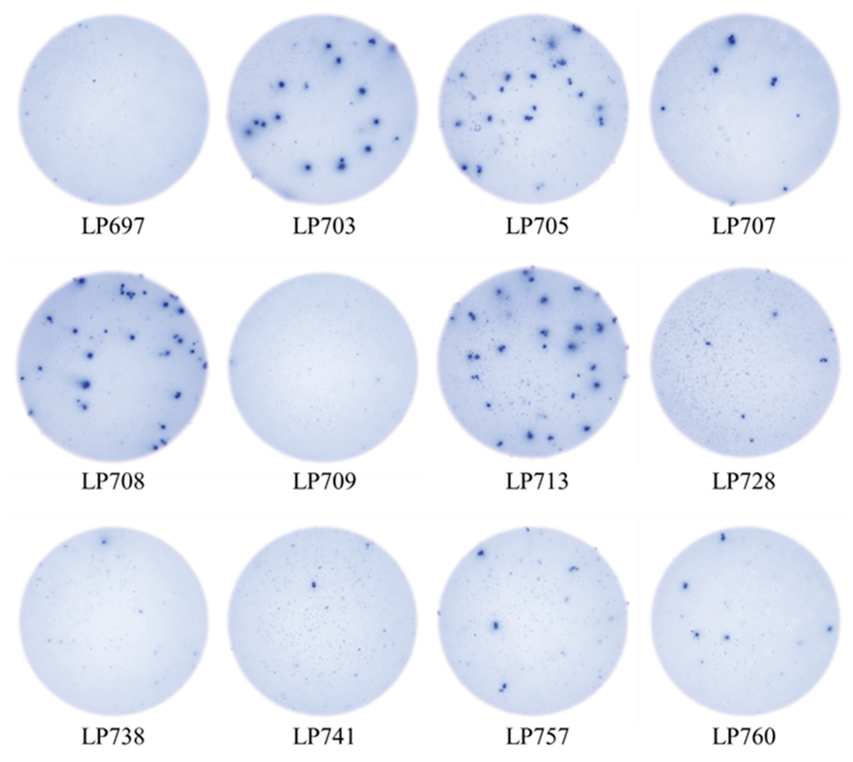 Preprints 190096 g004