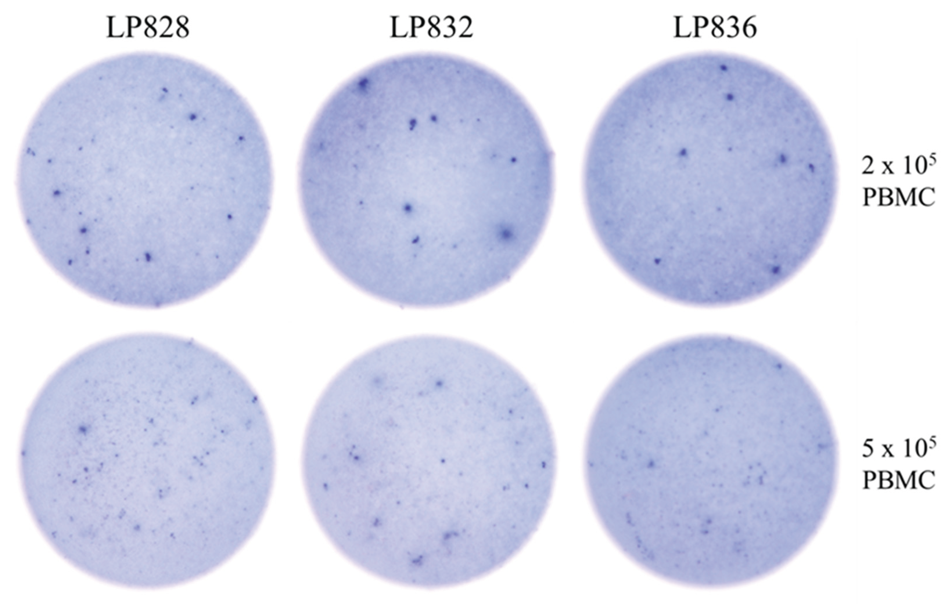 Preprints 190096 g005