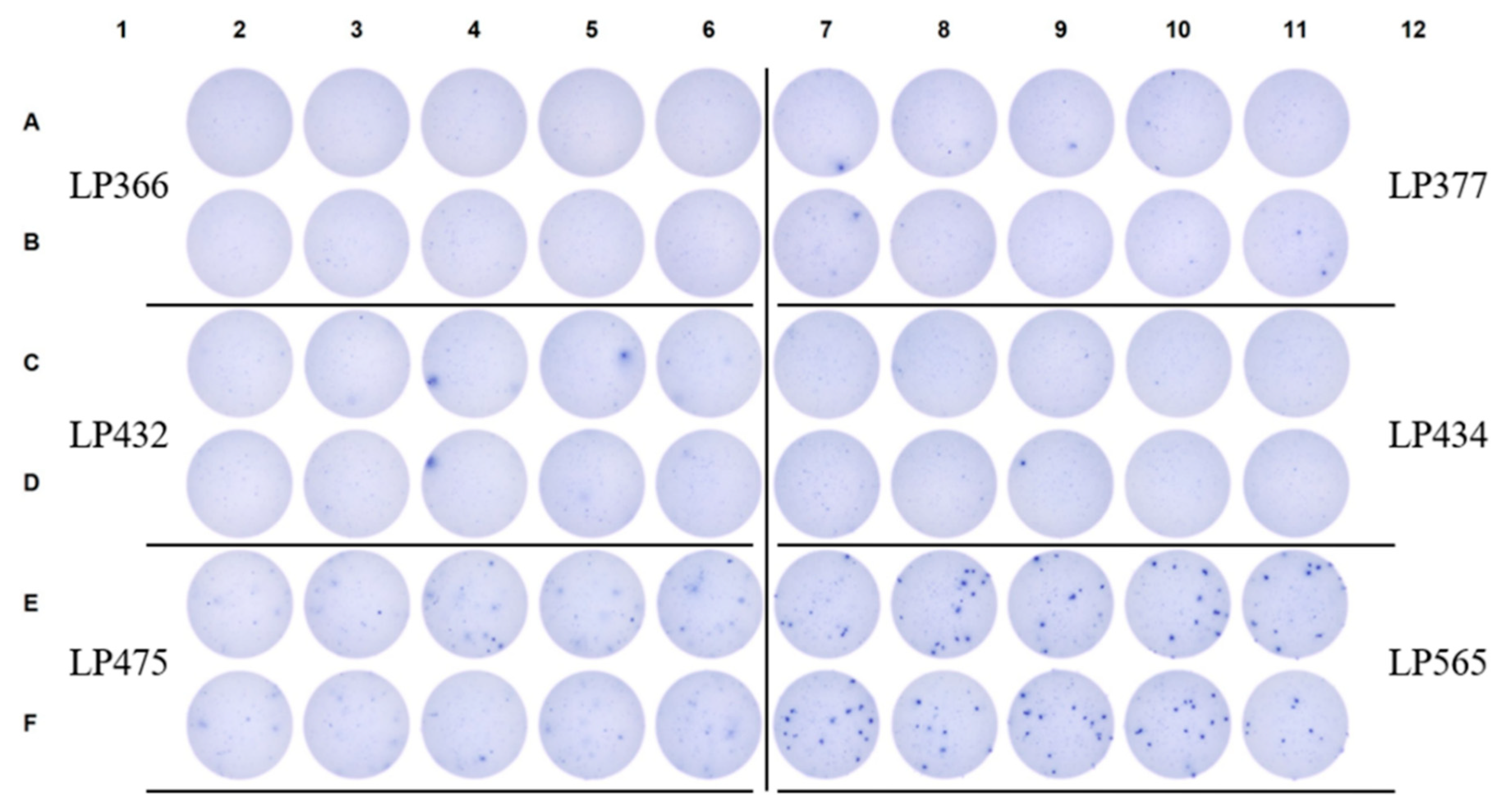Preprints 190096 g006