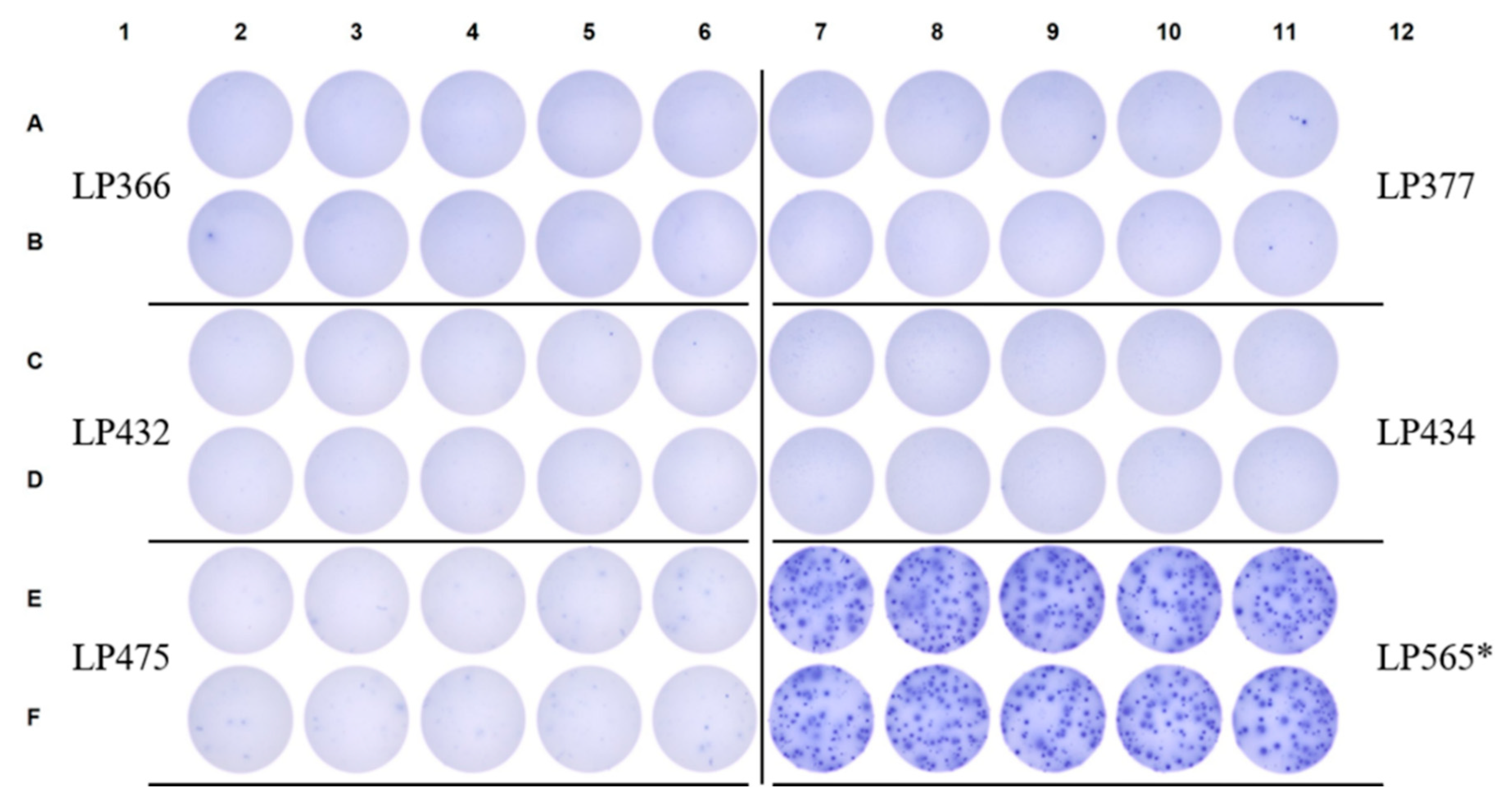 Preprints 190096 g007