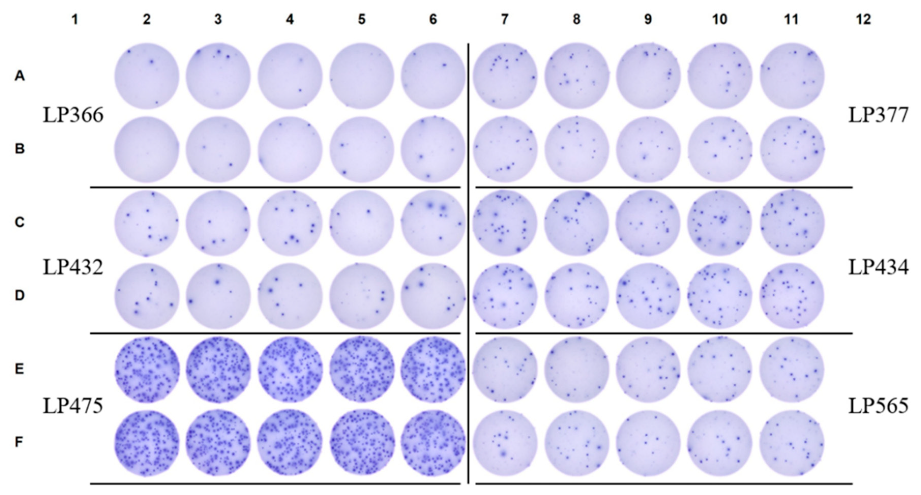 Preprints 190096 g008