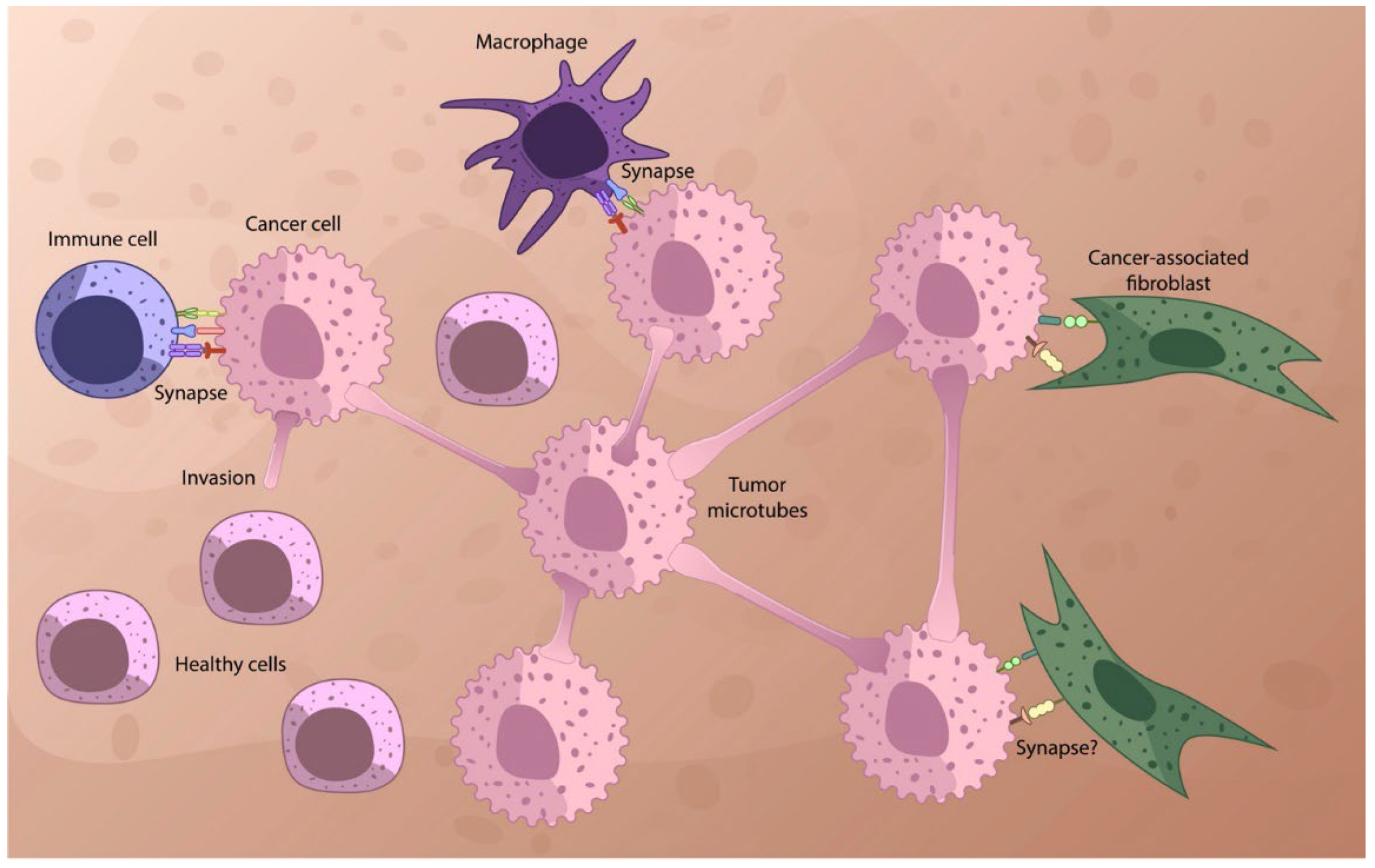 Preprints 100626 g001