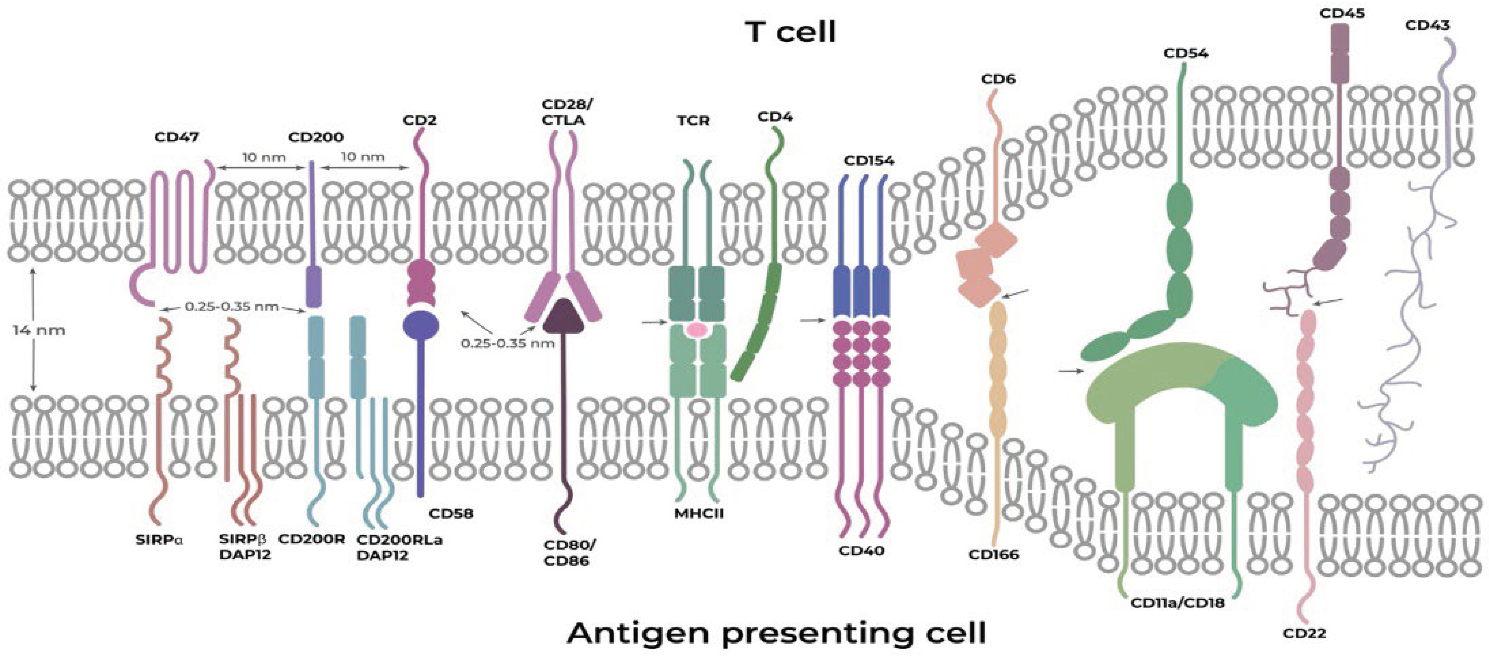 Preprints 100626 g002