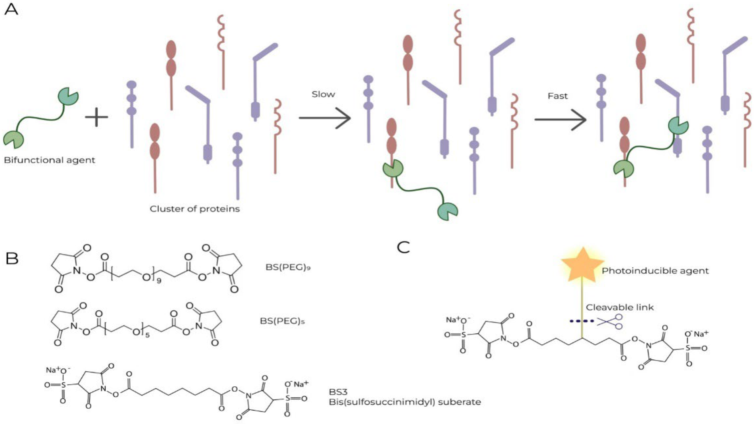 Preprints 100626 g003