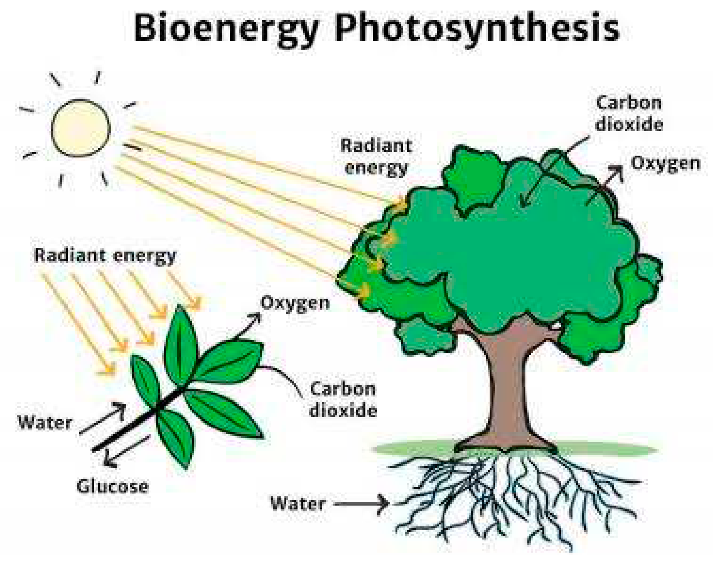 Preprints 93511 g006