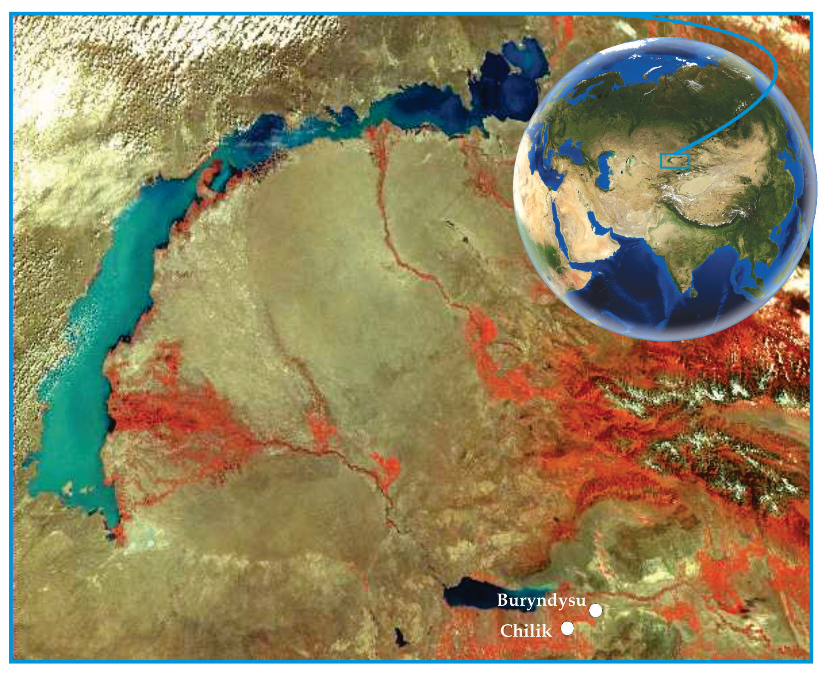Preprints 190943 g001